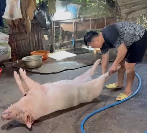 Đột k&iacute;ch 2 l&ograve; giết mổ heo tr&aacute;i ph&eacute;p trong hẻm s&acirc;u ở TP.HCM - Ảnh 4.