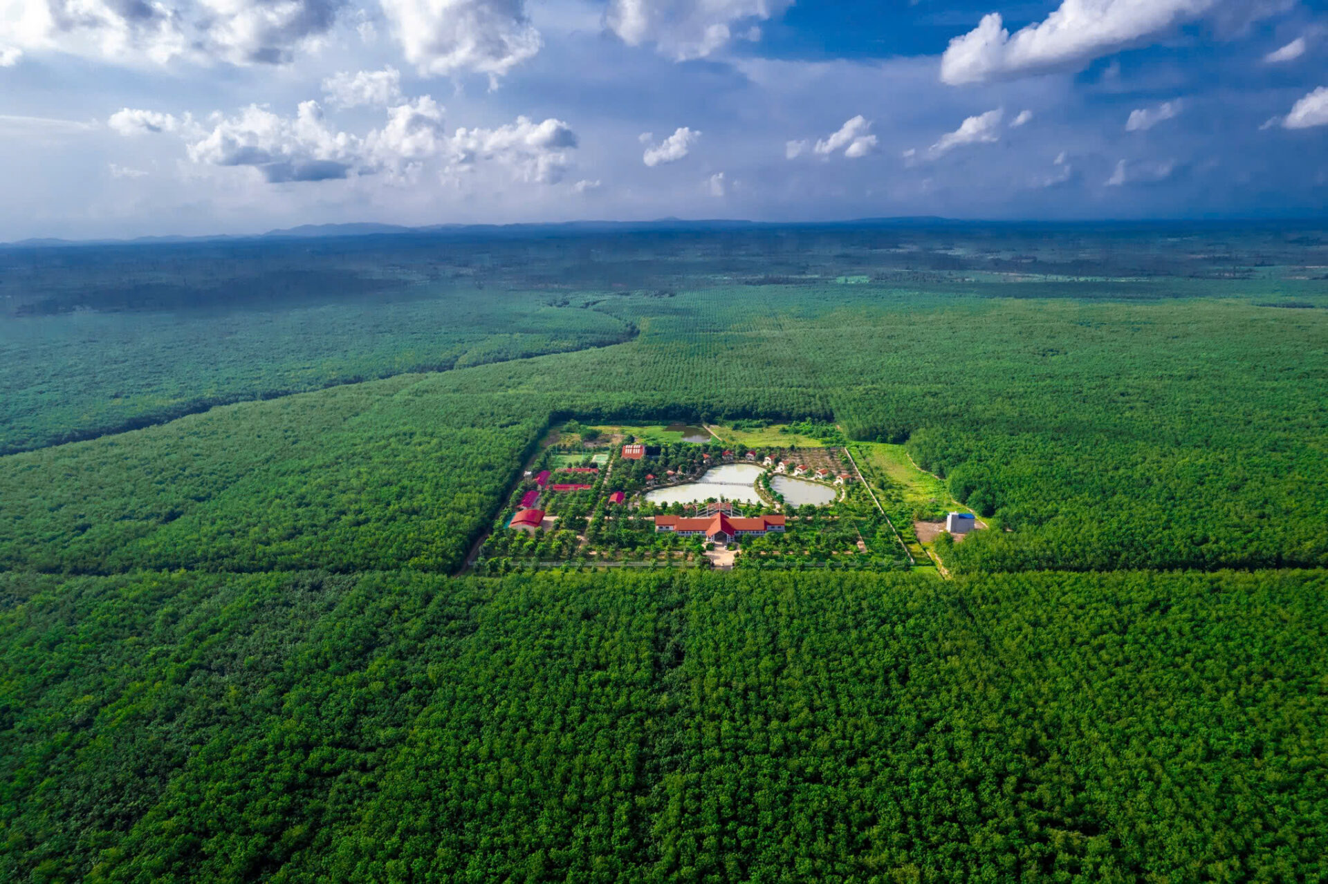 VRG kiến tạo giá trị bền vững - Ảnh 2.