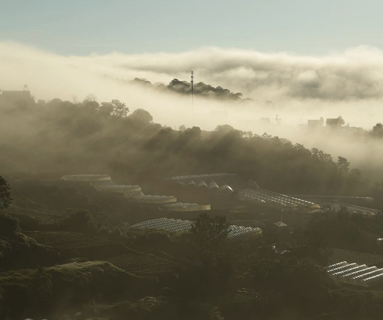 Nghỉ lễ 30.4: Ghé homestay ở Đà Lạt 'không cần săn mây, mây... tự tìm tới' - Ảnh 4.