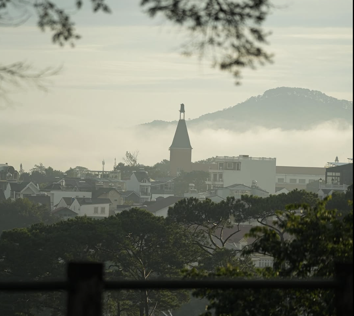 Nghỉ lễ 30.4: Ghé homestay ở Đà Lạt 'không cần săn mây, mây... tự tìm tới' - Ảnh 3.