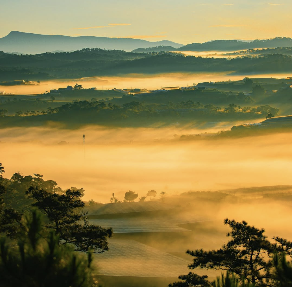 Nghỉ lễ 30.4: Ghé homestay ở Đà Lạt 'không cần săn mây, mây... tự tìm tới' - Ảnh 1.