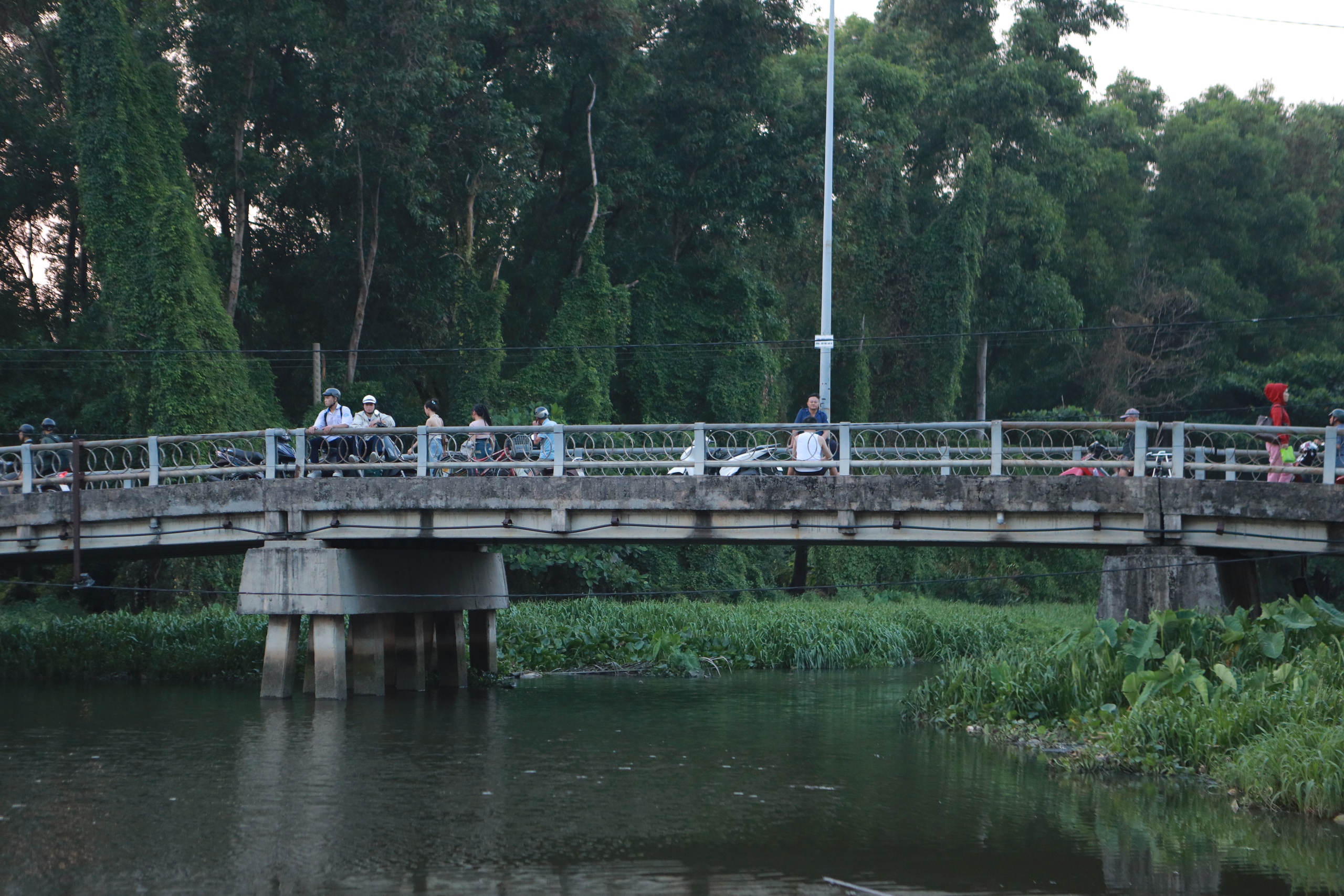 C&ocirc;ng vi&ecirc;n TP.HCM cao điểm nắng n&oacute;ng: Người d&acirc;n đi picnic, trải bạt dưới b&oacute;ng c&acirc;y 'giải nhiệt' - Ảnh 12.