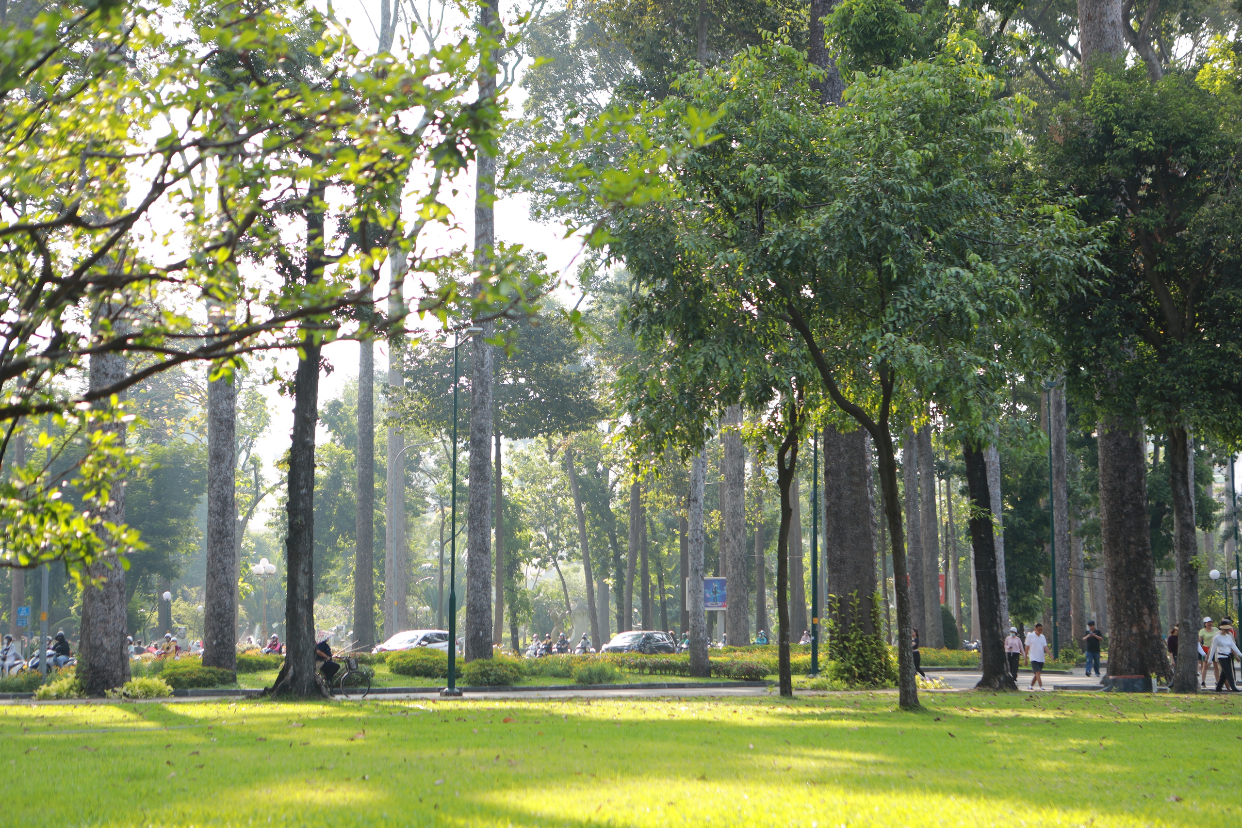 C&ocirc;ng vi&ecirc;n TP.HCM cao điểm nắng n&oacute;ng: Người d&acirc;n đi picnic, trải bạt dưới b&oacute;ng c&acirc;y 'giải nhiệt' - Ảnh 1.