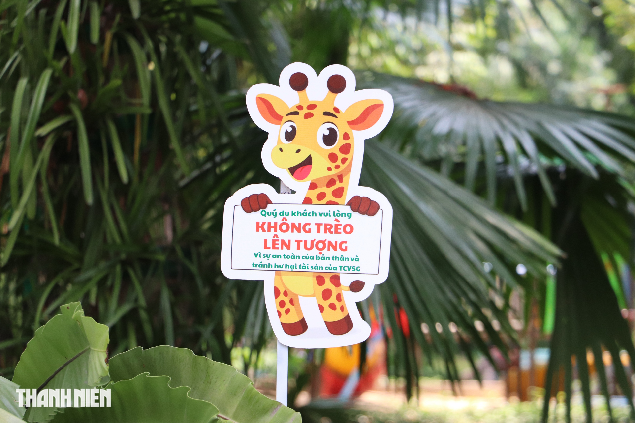 Nhiều người vô Thảo Cầm Viên chỉ để xếp hàng chụp hình với tượng ếch, ngựa vằn - Ảnh 9.