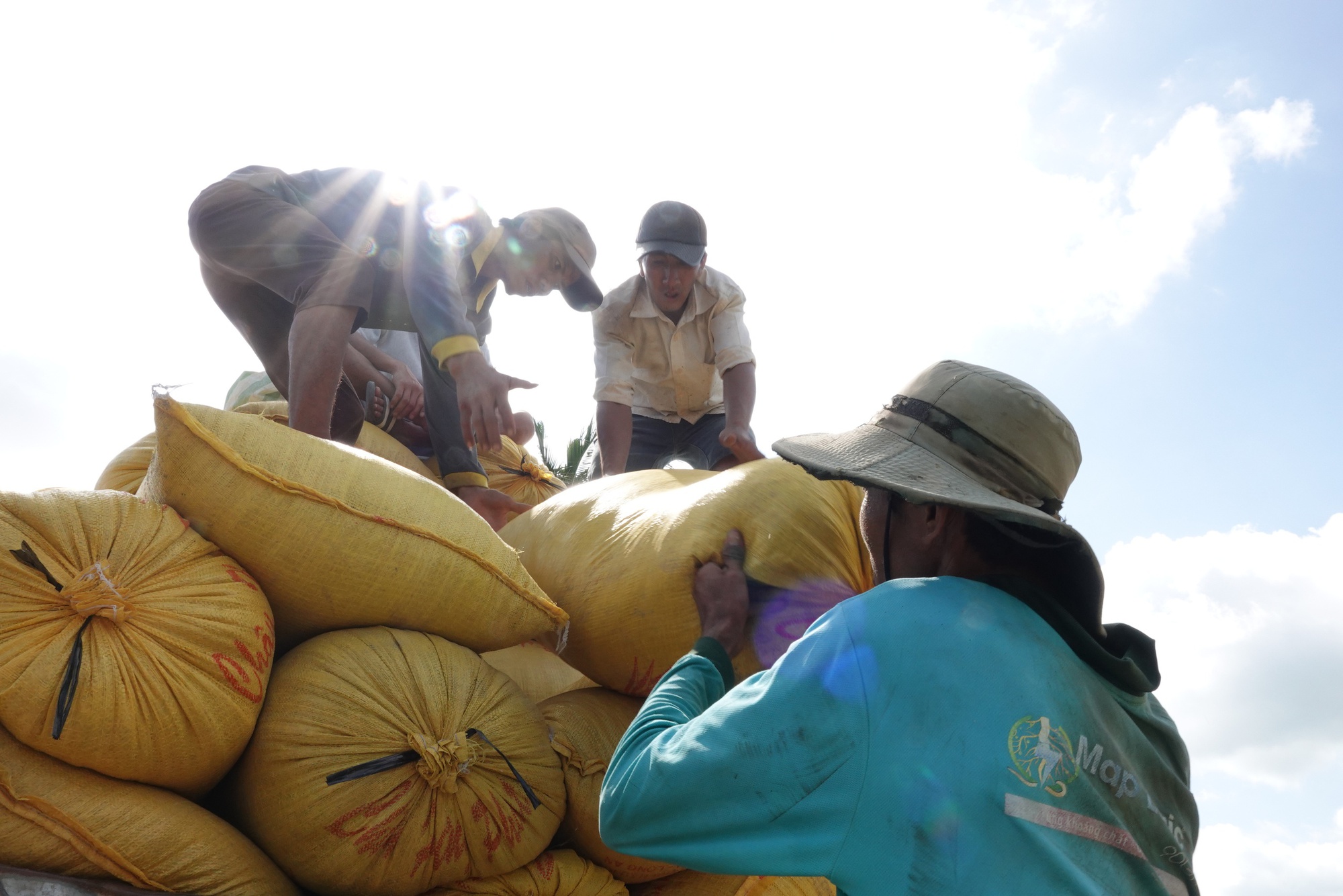 Philippines điều tra tự vệ, gạo Việt có bị ảnh hưởng?- Ảnh 2. Philippines điều tra tự vệ, gạo Việt có bị ảnh hưởng?- Ảnh 2.