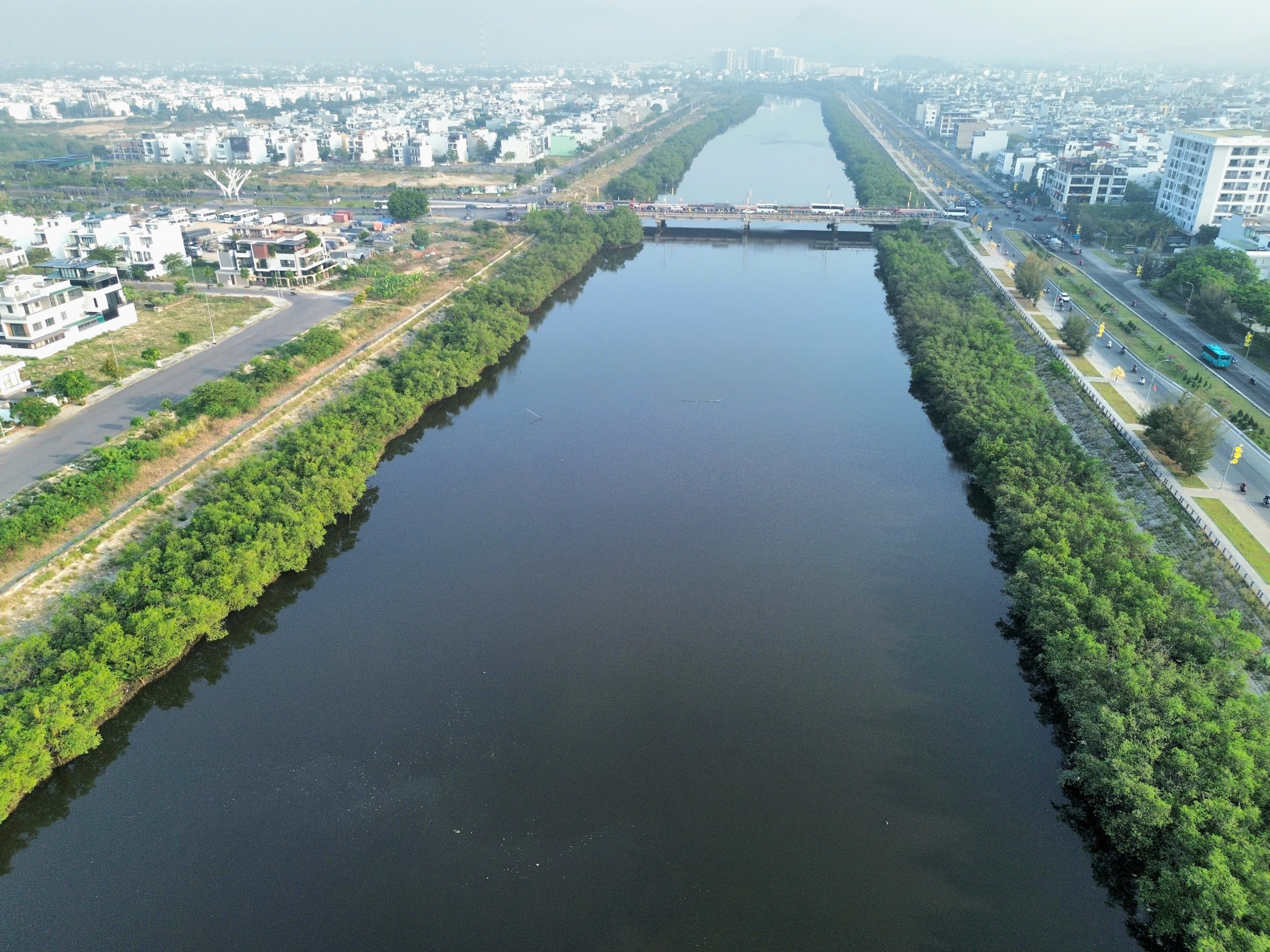 Dự &aacute;n k&egrave; s&ocirc;ng 590 tỉ ở Nha Trang &lsquo;đứng b&aacute;nh&rsquo; 5 năm v&igrave;... hai h&agrave;ng c&acirc;y - Ảnh 1.