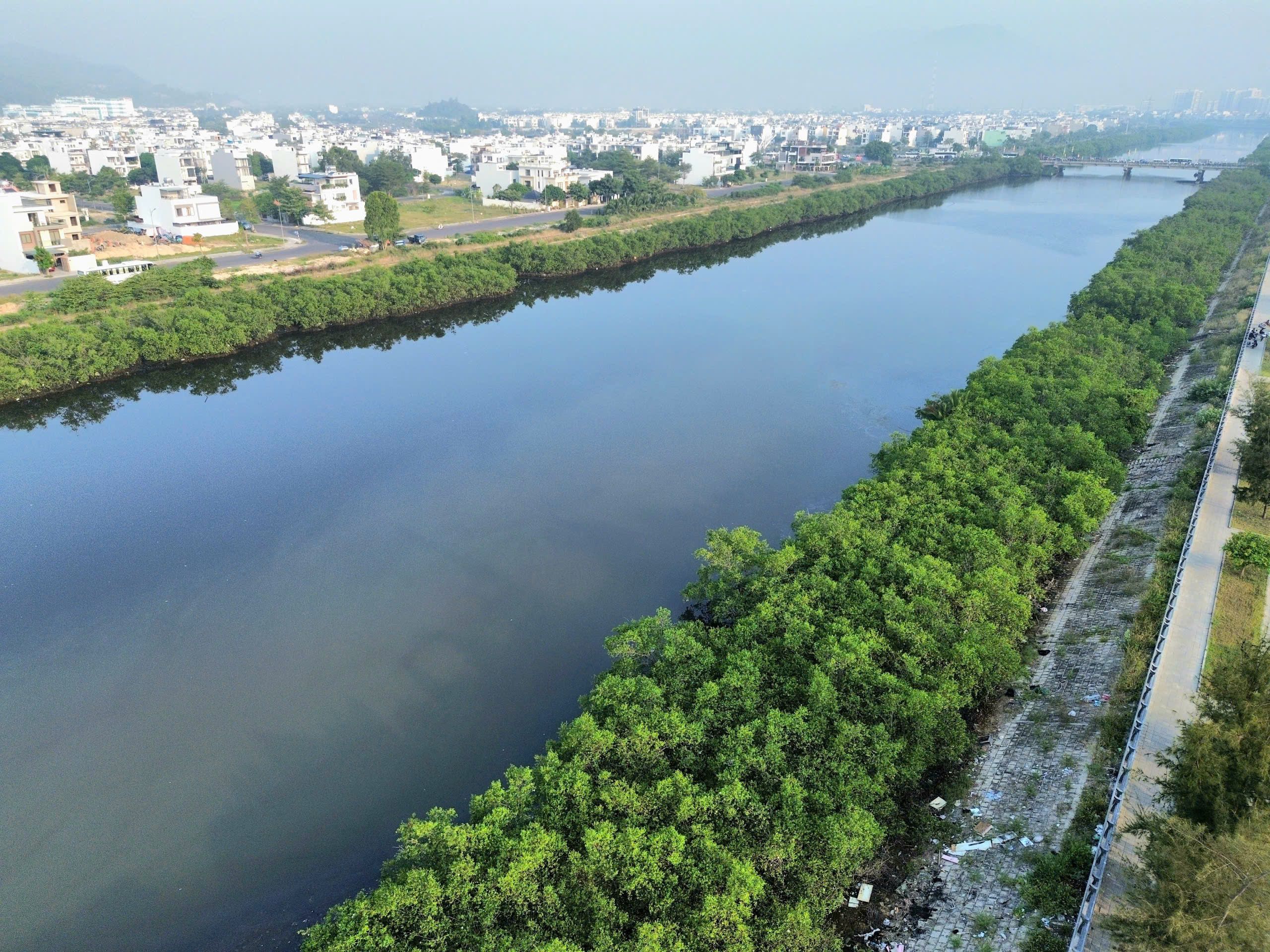 Dự &aacute;n k&egrave; s&ocirc;ng 590 tỉ ở Nha Trang &lsquo;đứng b&aacute;nh&rsquo; 5 năm v&igrave;... hai h&agrave;ng c&acirc;y - Ảnh 2.
