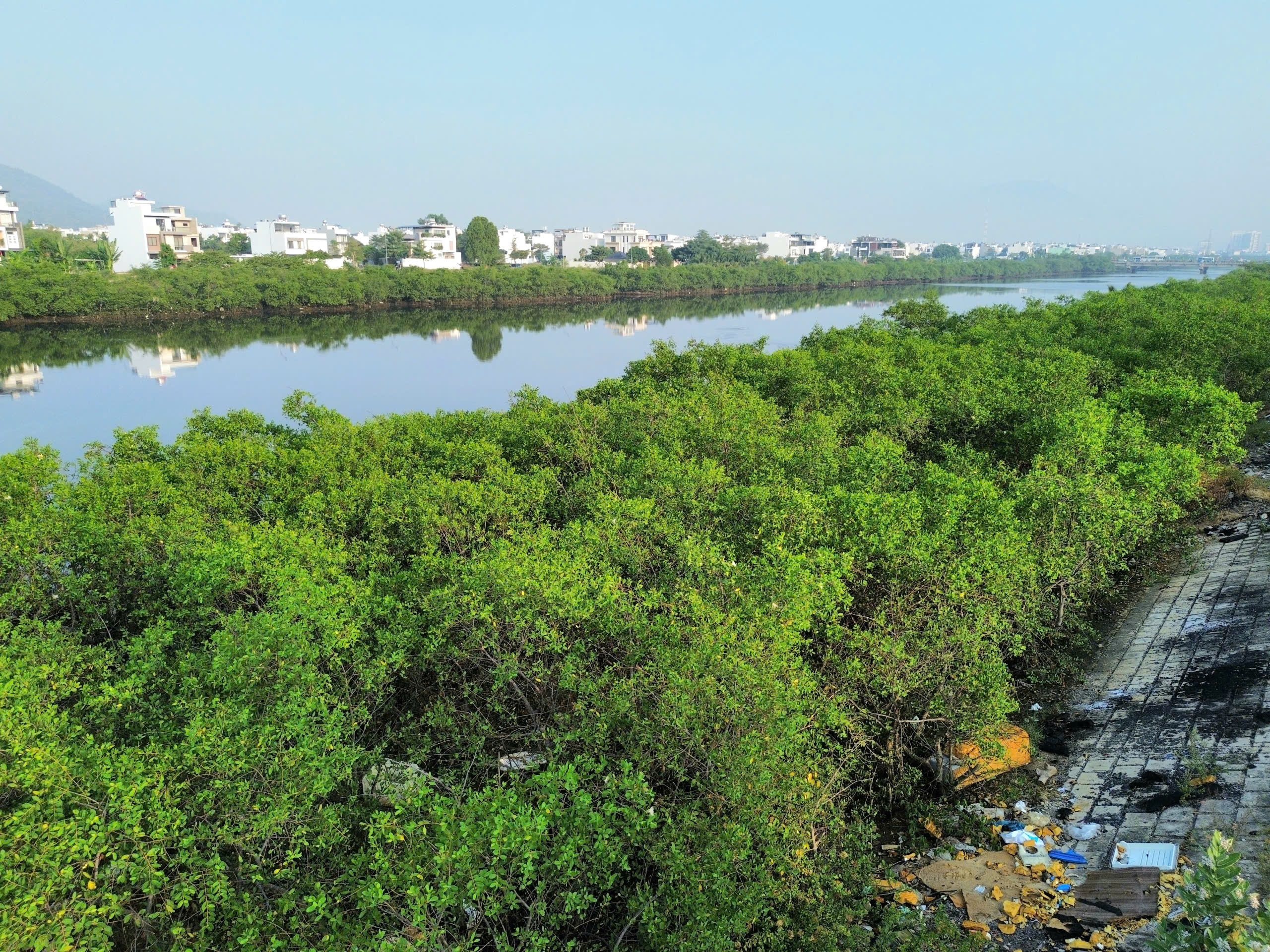 Dự &aacute;n k&egrave; s&ocirc;ng 590 tỉ ở Nha Trang &lsquo;đứng b&aacute;nh&rsquo; 5 năm v&igrave;... hai h&agrave;ng c&acirc;y - Ảnh 3.