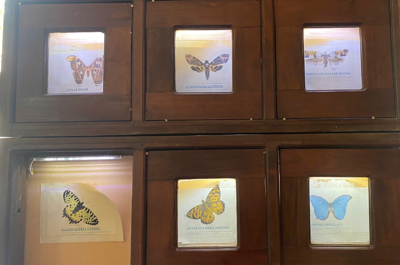 Quán cà phê phong cách “Bưu điện TP.HCM” cuốn hút người trẻ - Ảnh 7.