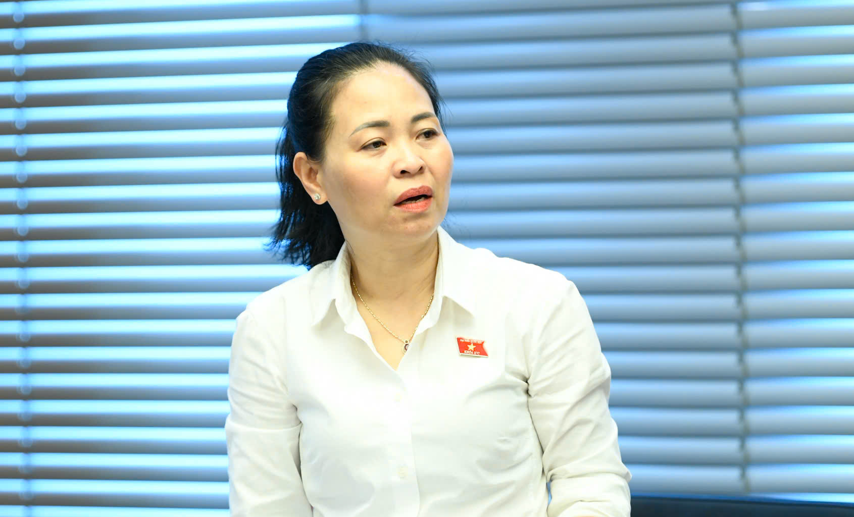 Đại biểu Quốc hội chỉ ra 'khoảng trống ph&aacute;p luật' trong h&ocirc;n nh&acirc;n đồng giới - Ảnh 1.