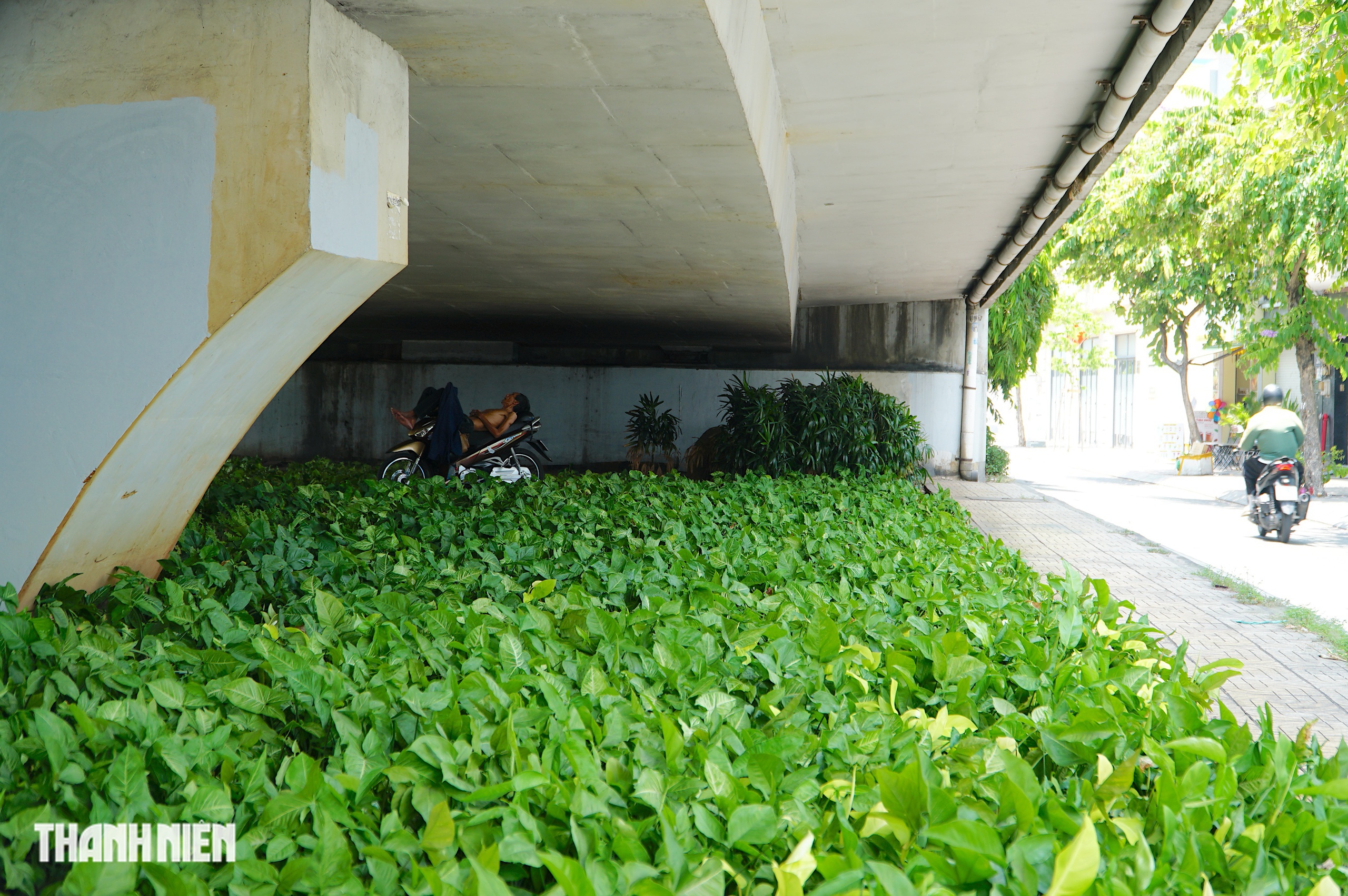 TP . HCM nắng nóng gay gắt: Người lao động tìm chốn mát dưới bóng cây , gầm cầu - Ảnh 7. TP . HCM nắng nóng gay gắt: Người lao động tìm chốn mát dưới bóng cây , gầm cầu - Ảnh 7.
