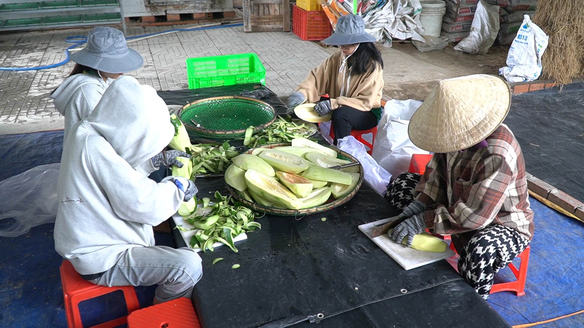C&ugrave;ng sống xanh số 146: Nu&ocirc;i con t&ocirc;m sạch từ chế phẩm kh&oacute;m - đủ - chuối - Ảnh 3.