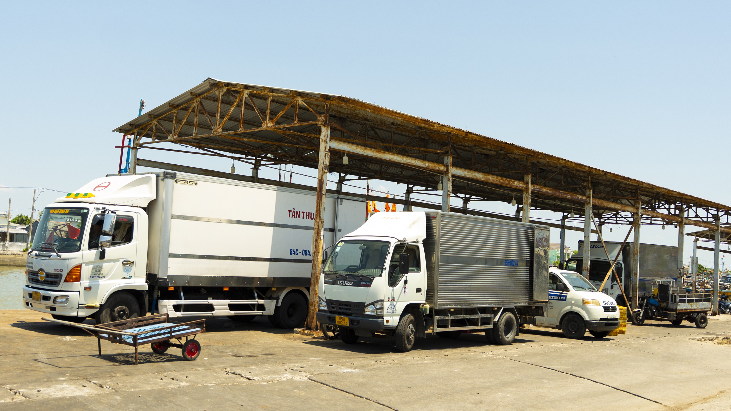 Ngư d&acirc;n Vĩnh Long ra khơi m&ugrave;a biển n&ocirc;ng, thuyền về đầy ắp hải sản- Ảnh 16.
