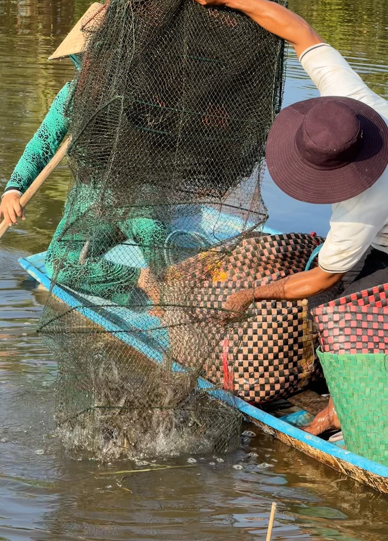 C&ugrave;ng sống xanh số 146: Nu&ocirc;i con t&ocirc;m sạch từ chế phẩm kh&oacute;m - đủ - chuối - Ảnh 2.