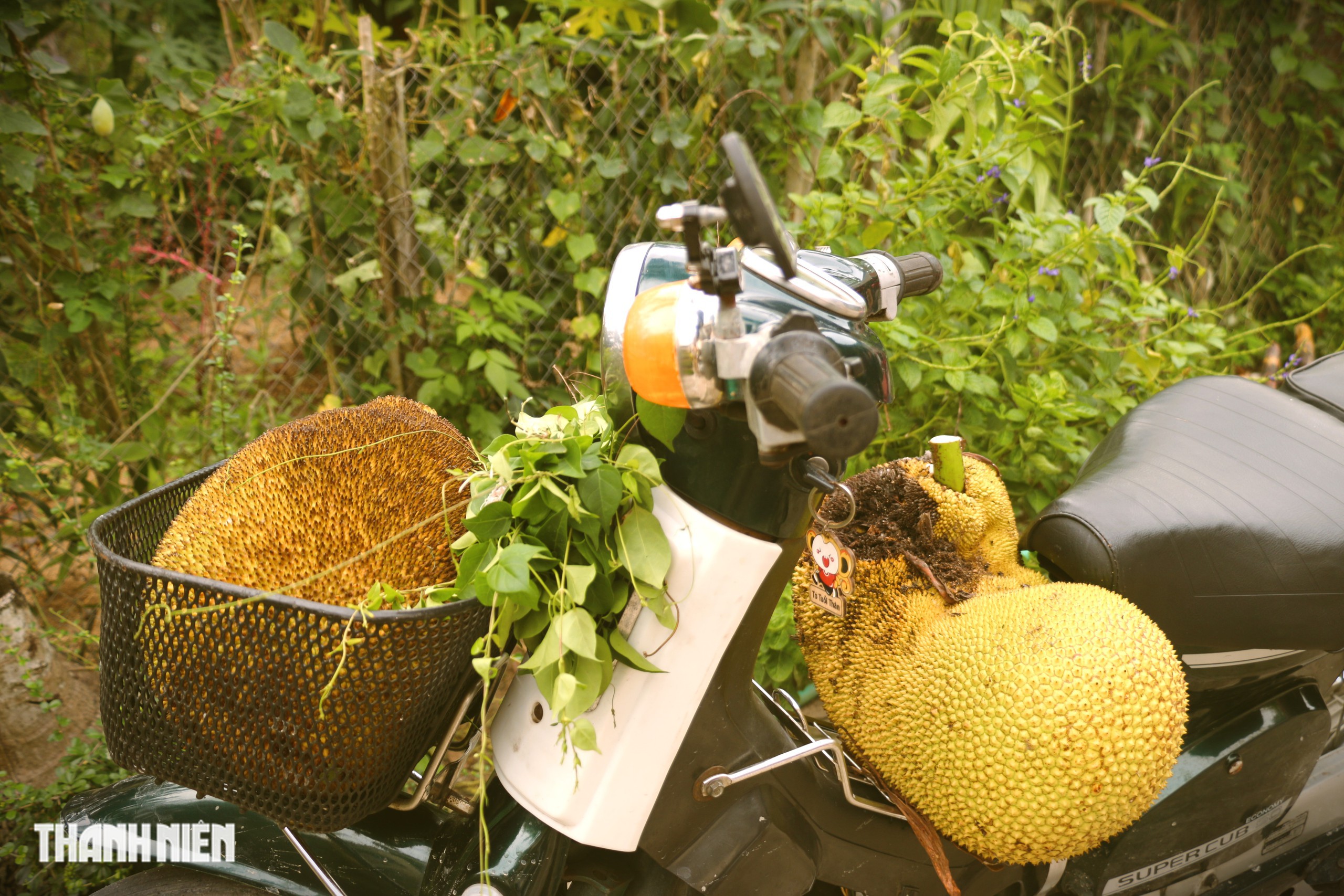 Mấy 'đội ăn chực' lại c&oacute; mặt ở nh&agrave; &ocirc;ng b&agrave; - Ảnh 11.