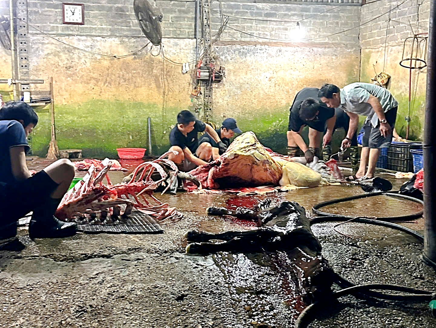 Tin tức đặc biệt trên báo in Thanh Niên 12.5.2026- Ảnh 2.