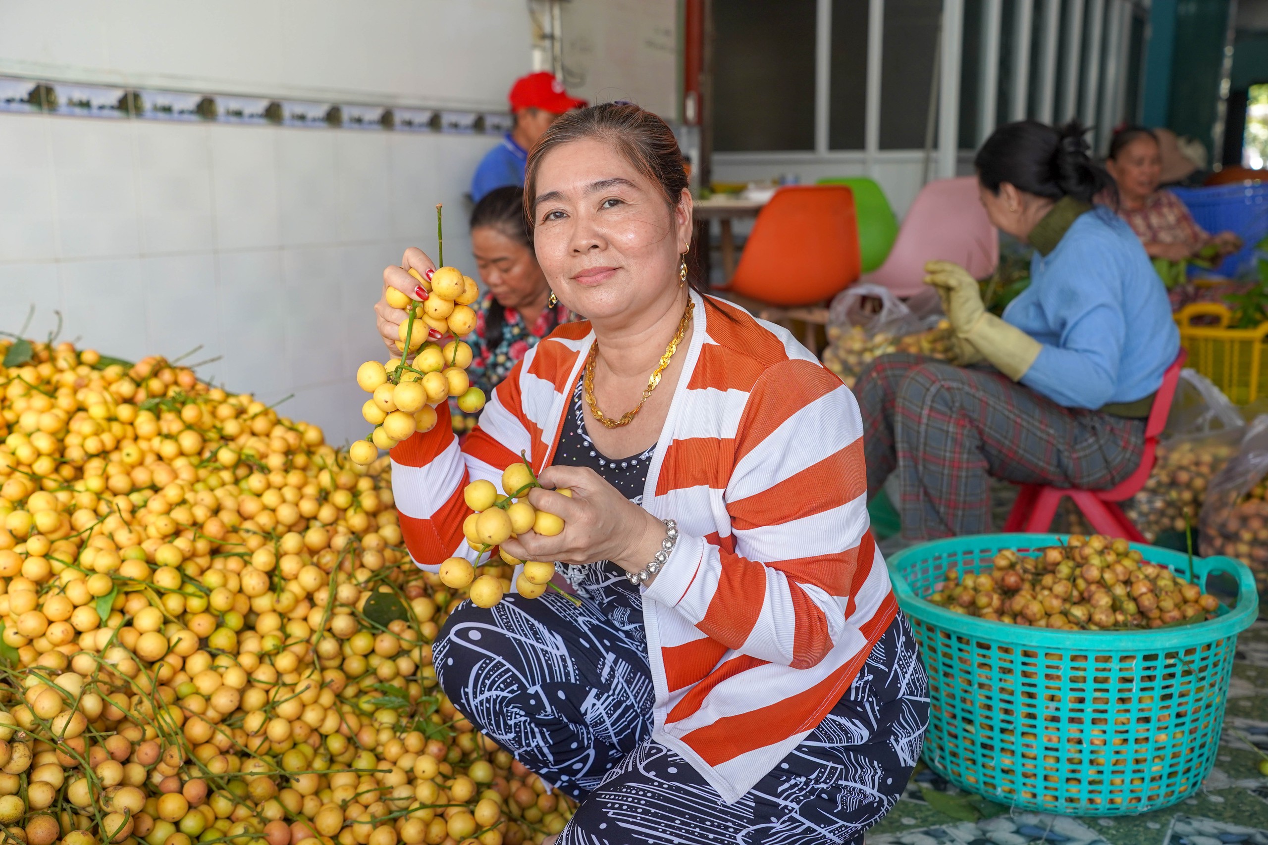 Rực rỡ mùa dâu núi Cấm- Ảnh 8.