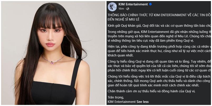 Sự nghiệp Miu L&ecirc; ra sao trước khi bị tạm giữ v&igrave; li&ecirc;n quan đến ma t&uacute;y?- Ảnh 1.