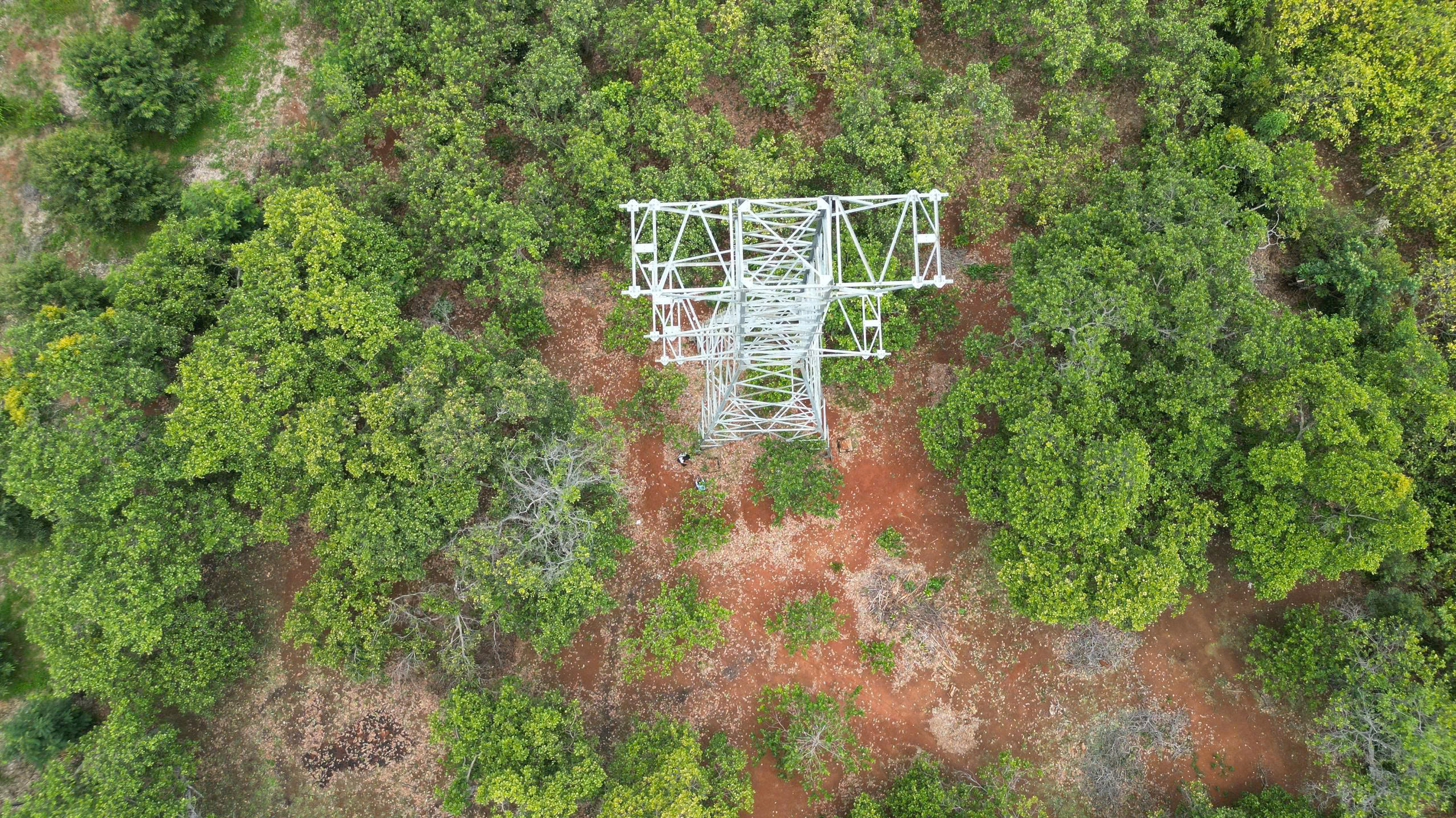 Đồng Nai: Trụ điện 110kV không có đai ốc ngã đổ gây bất an- Ảnh 14. Đồng Nai: Trụ điện 110kV không có đai ốc ngã đổ gây bất an- Ảnh 14.