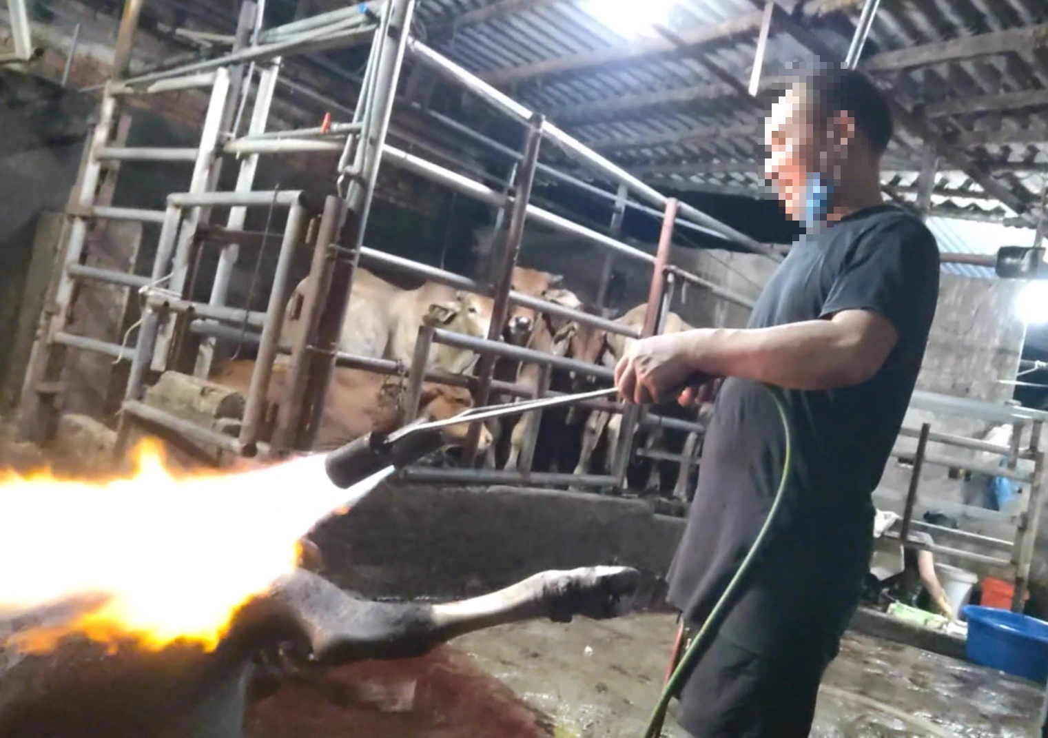 Chỉ đạo nóng sau phản ánh của Báo Thanh Niên - Ảnh 2.