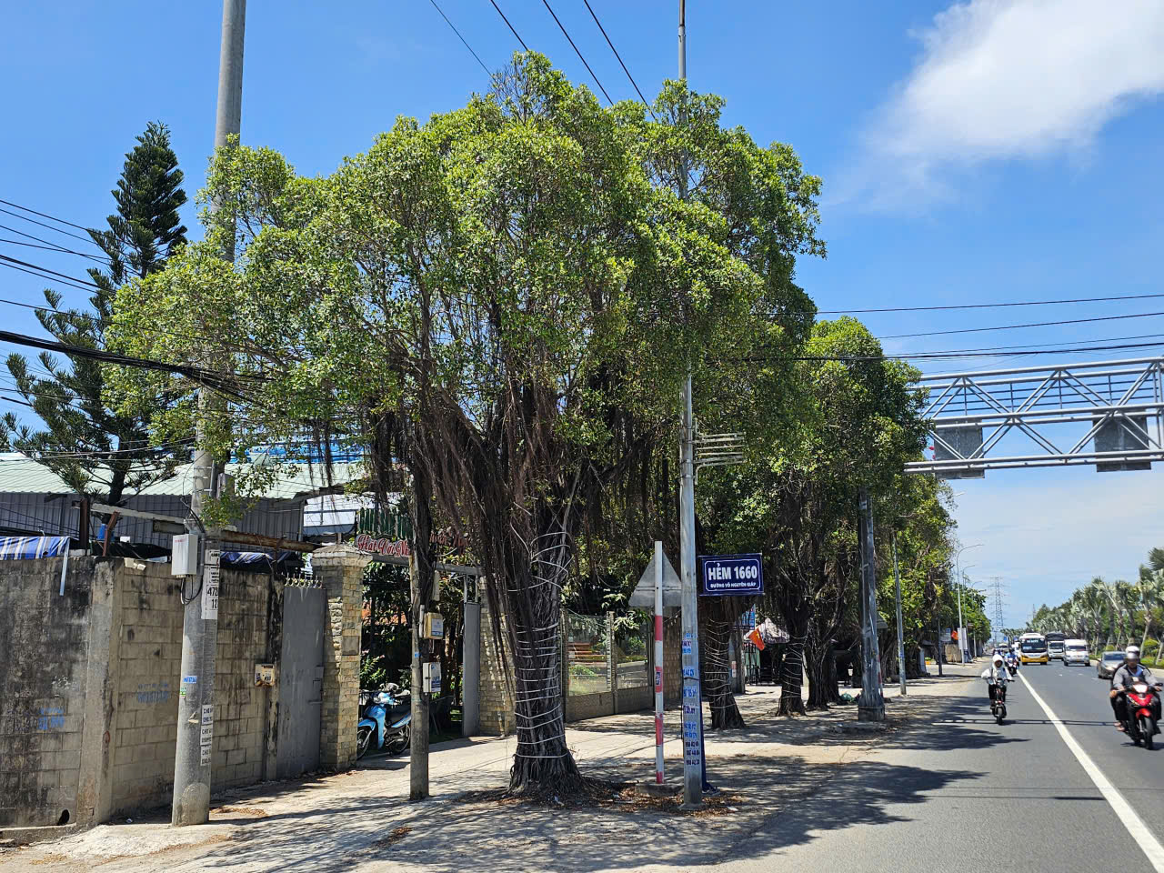 Khi nào cưỡng chế, thu hồi khu đất công mua bán giấy tay thành quán cà phê?- Ảnh 1.