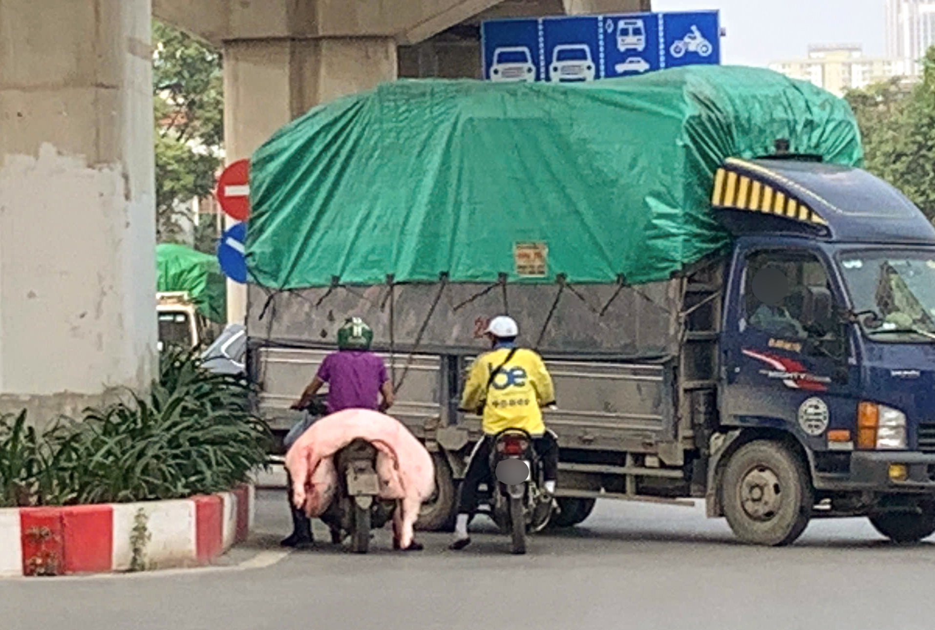 Thịt lợn 'hít bụi, phơi nắng' ồ ạt vào nội thành- Ảnh 12.
