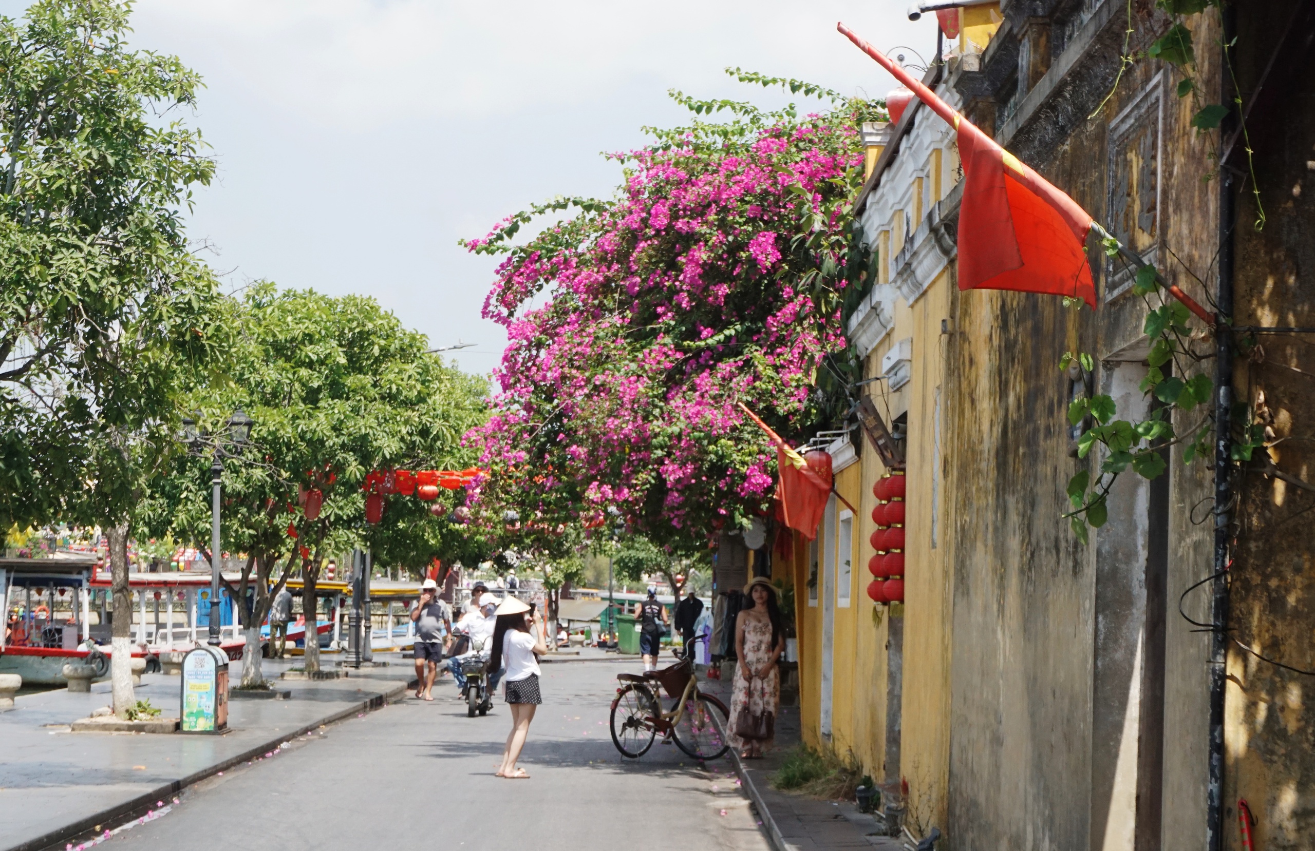Hoa giấy nhuộm rực phố cổ Hội An, giới trẻ mê mẩn check-in mùa hè- Ảnh 15.