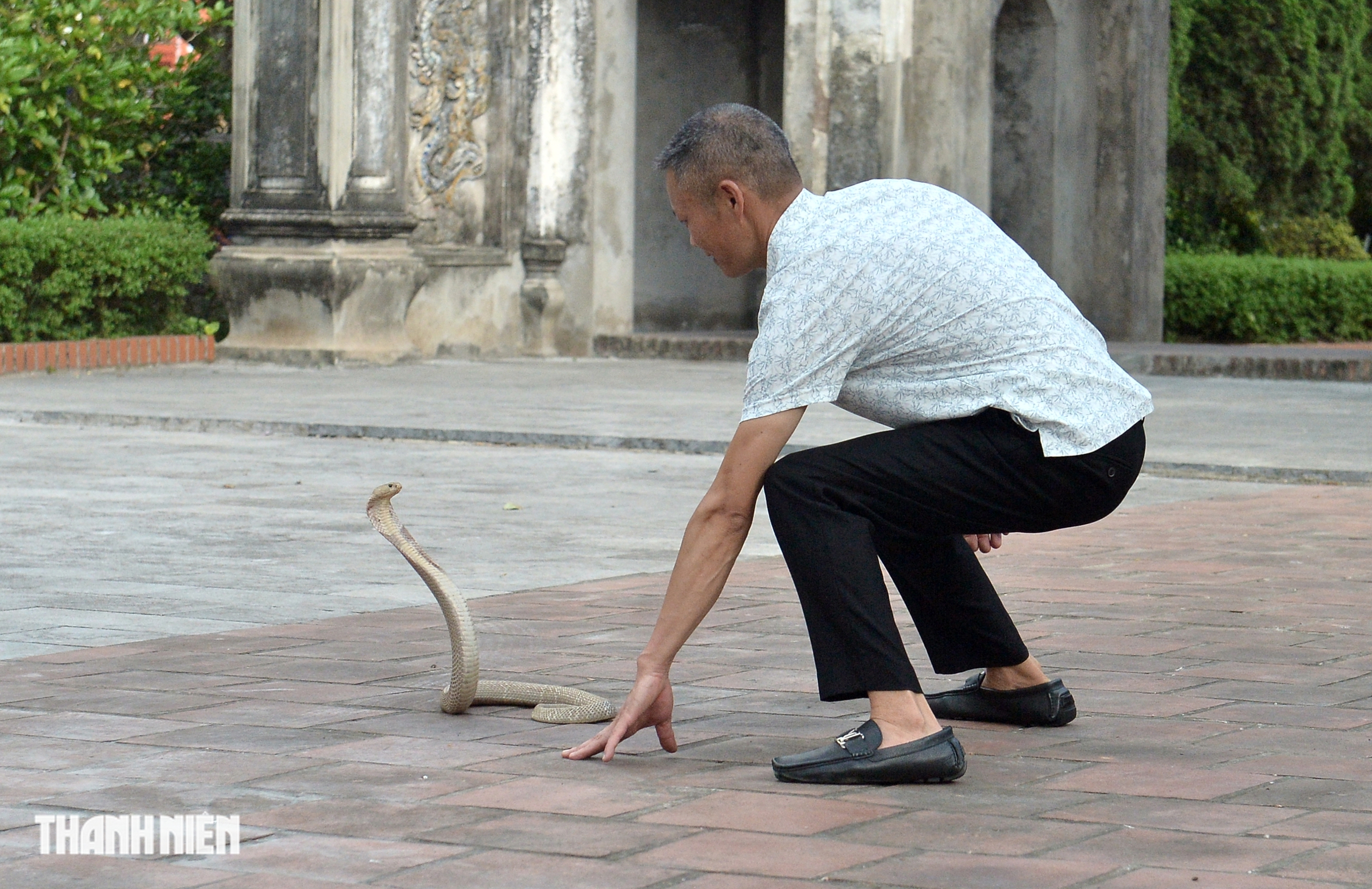 Người đ&agrave;n &ocirc;ng 'm&uacute;a rắn' giữa H&agrave; Nội: 'Rắn hung dữ nhất gặp t&ocirc;i cũng th&agrave;nh th&uacute; cưng&rsquo;- Ảnh 7.