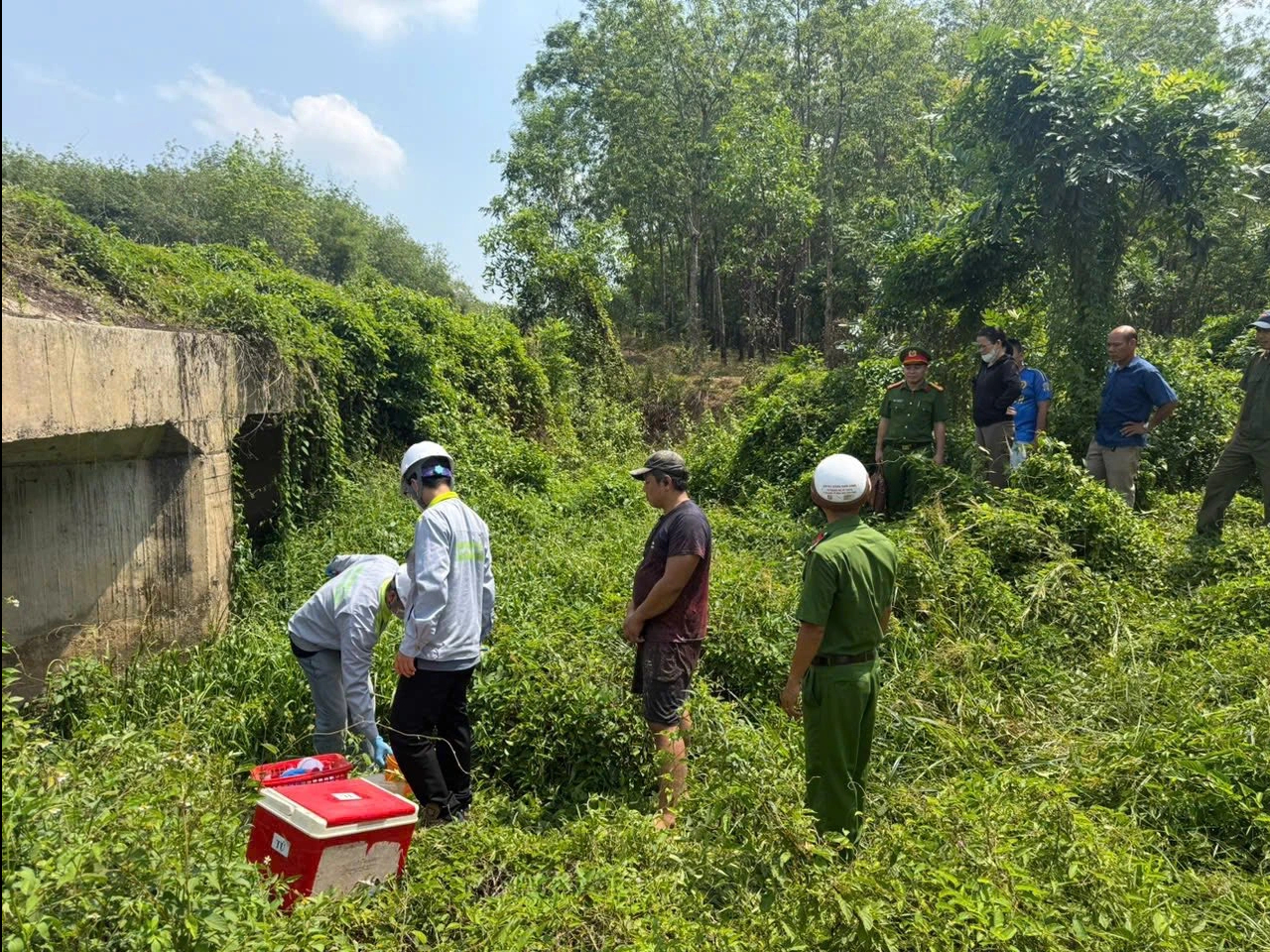 Pháthiện công tychế biến mủ cao su xả nước thải chưa qua xử lý ra môi trường - Ảnh 3.
