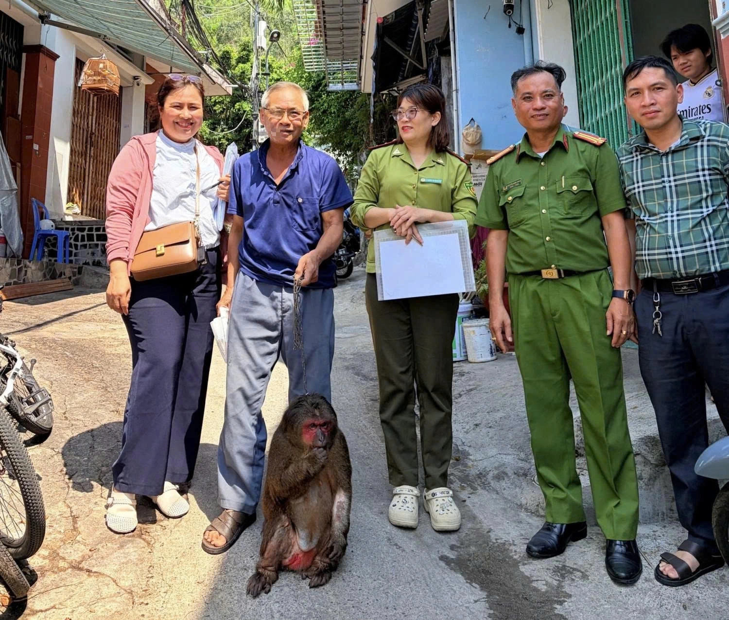 Khỉ mặt đỏ quý hiếm được nuôi như thú cưng suốt 12 năm- Ảnh 1. Khỉ mặt đỏ quý hiếm được nuôi như thú cưng suốt 12 năm- Ảnh 1.