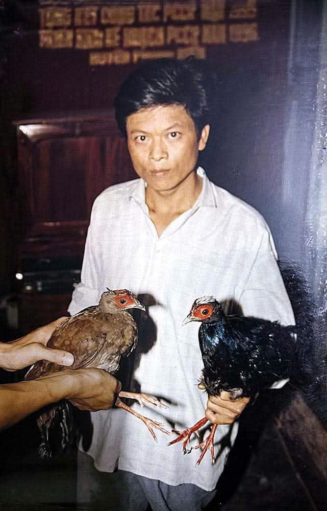 Hành trình hồi hương của gà lôi lam mào trắng sau hơn 100 năm ở trời Âu - Ảnh 3.