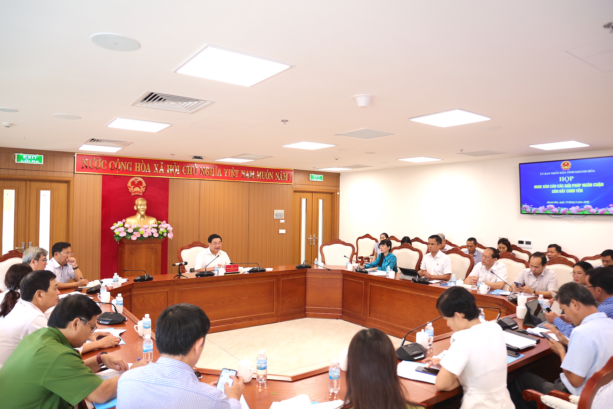Khánh Hòa lập tổ liên ngành, mở đường dây nóng chống săn bắt chim yến- Ảnh 1.