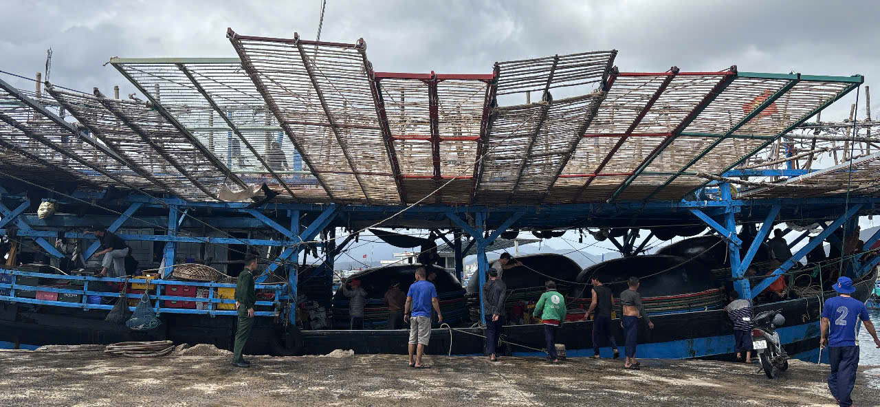 Tàu cá Quảng Ngãi hỏng máy giữa biển, 14 ngư dân mong được cứu hộ khẩn cấp - Ảnh 1.