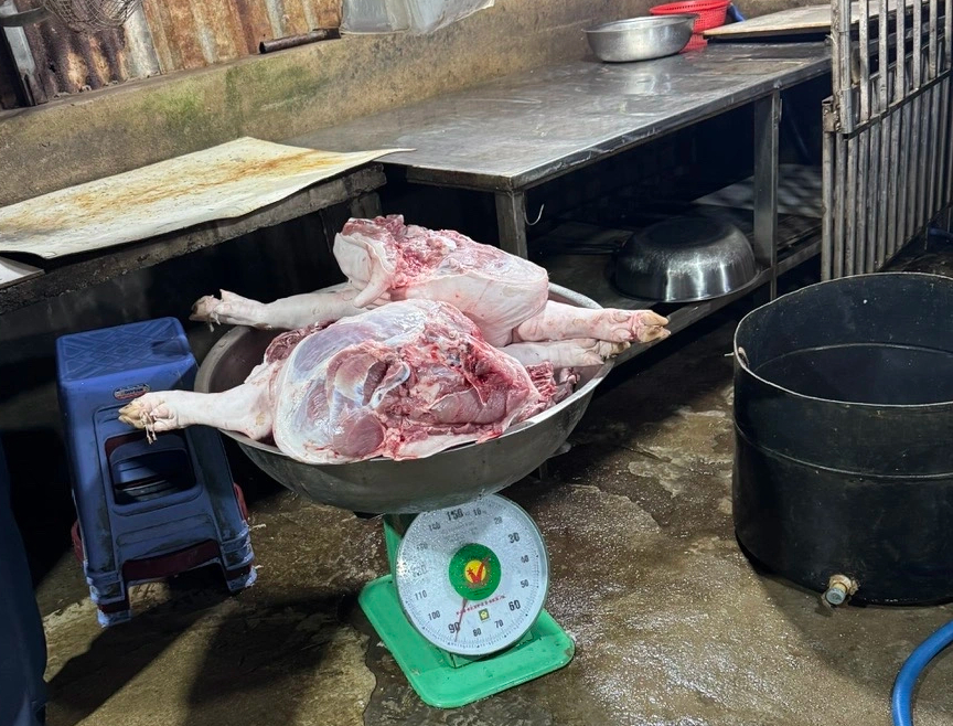 Ngăn chặn gần 7 tấn thịt 'bẩn' đưa vào TP.HCM tiêu thụ - Ảnh 3.