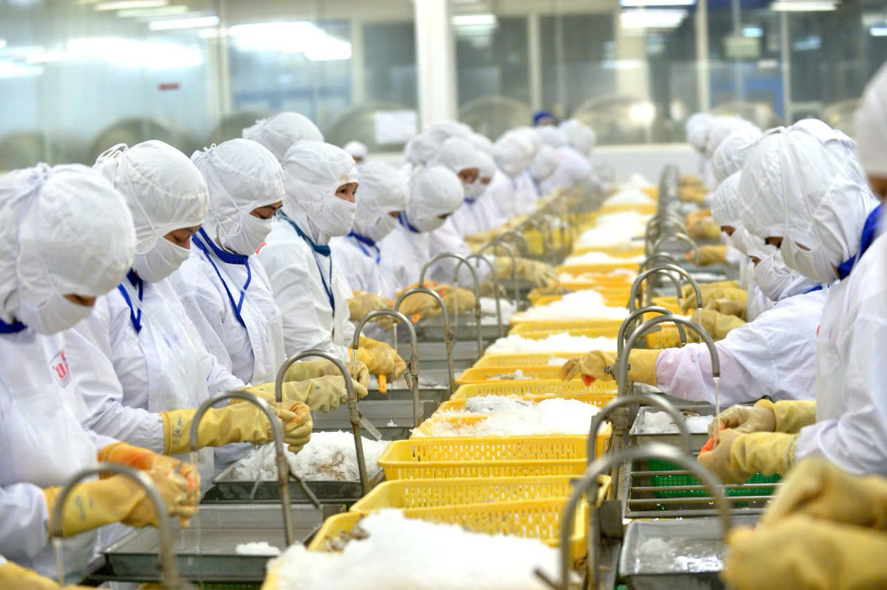 Xuất khẩu tôm vào Mỹ lại gặp khó- Ảnh 1.