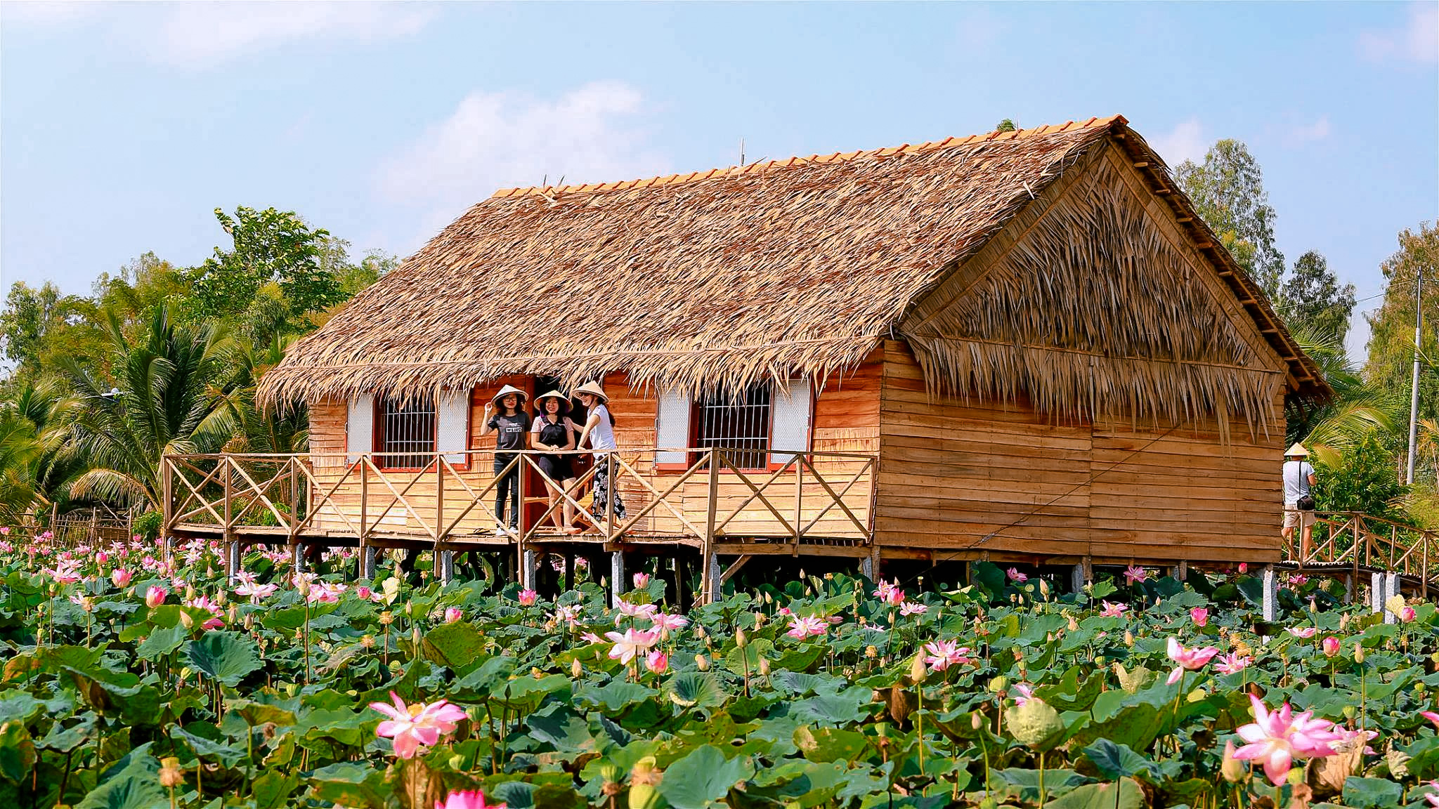 L&atilde;o n&ocirc;ng chuyển ruộng l&uacute;a th&agrave;nh homestay giữa đồng sen, du kh&aacute;ch đến rồi nhớ m&atilde;i - Ảnh 1.