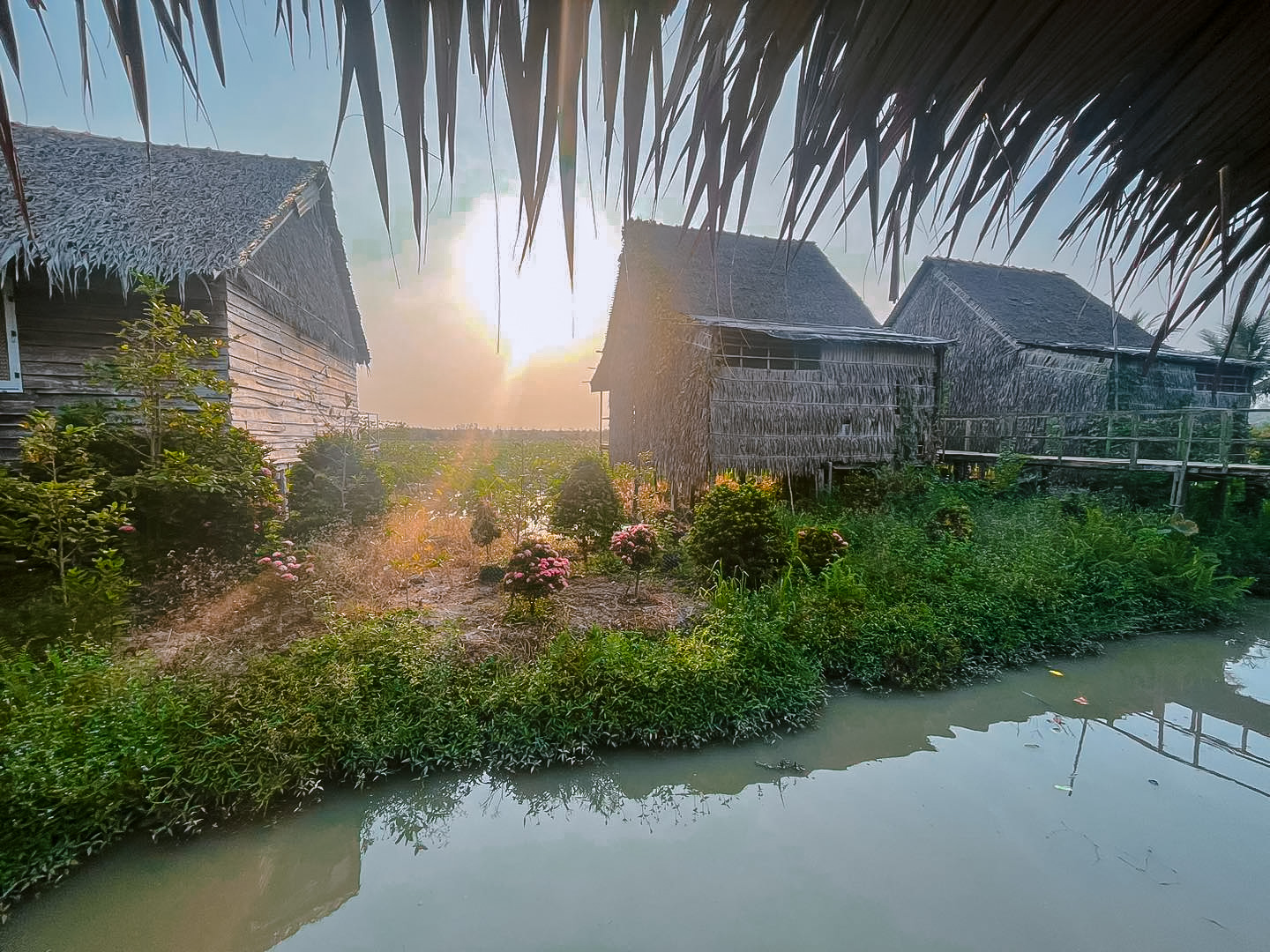 L&atilde;o n&ocirc;ng chuyển ruộng l&uacute;a th&agrave;nh homestay giữa đồng sen, du kh&aacute;ch đến rồi nhớ m&atilde;i - Ảnh 2.
