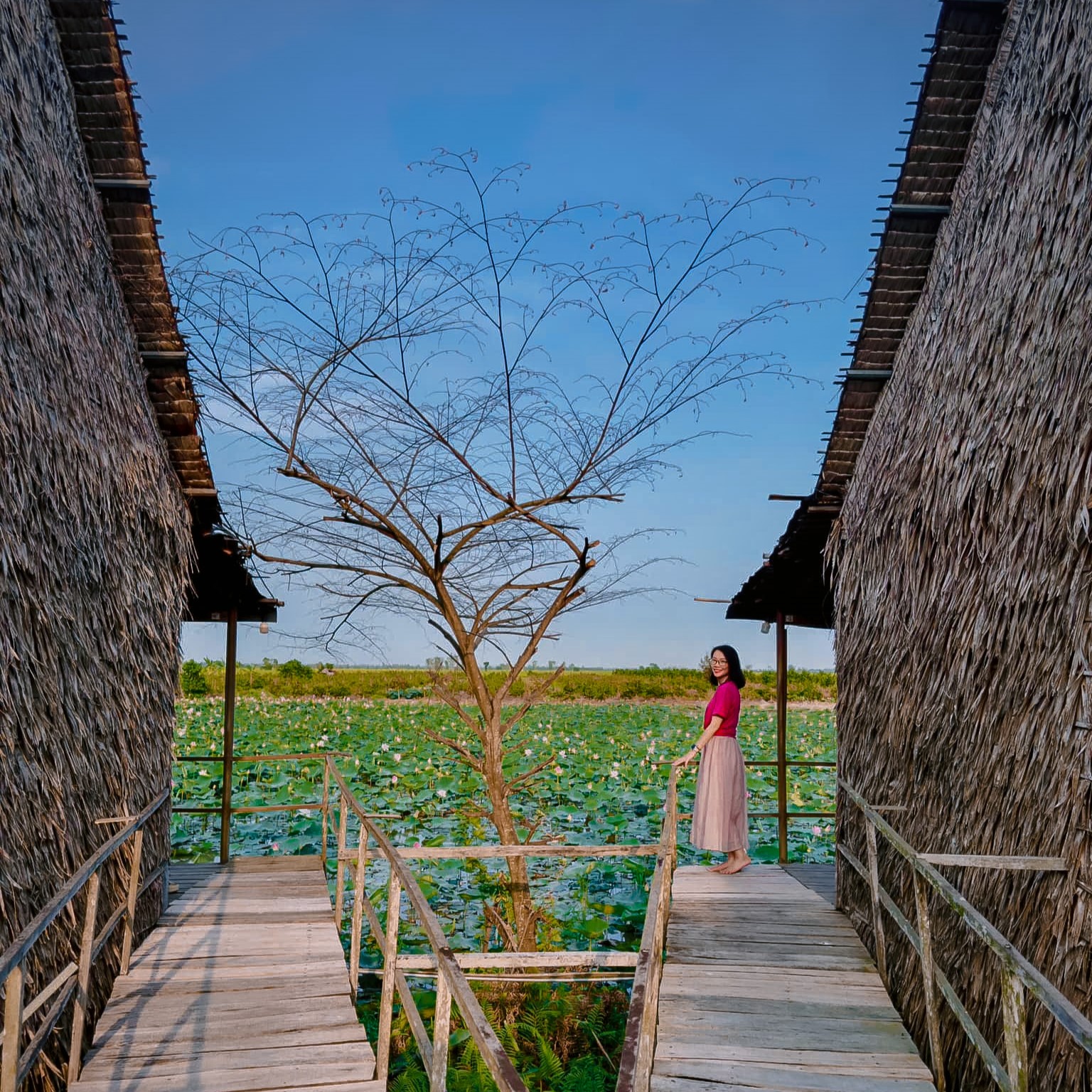 L&atilde;o n&ocirc;ng chuyển ruộng l&uacute;a th&agrave;nh homestay giữa đồng sen, du kh&aacute;ch đến rồi nhớ m&atilde;i - Ảnh 4.