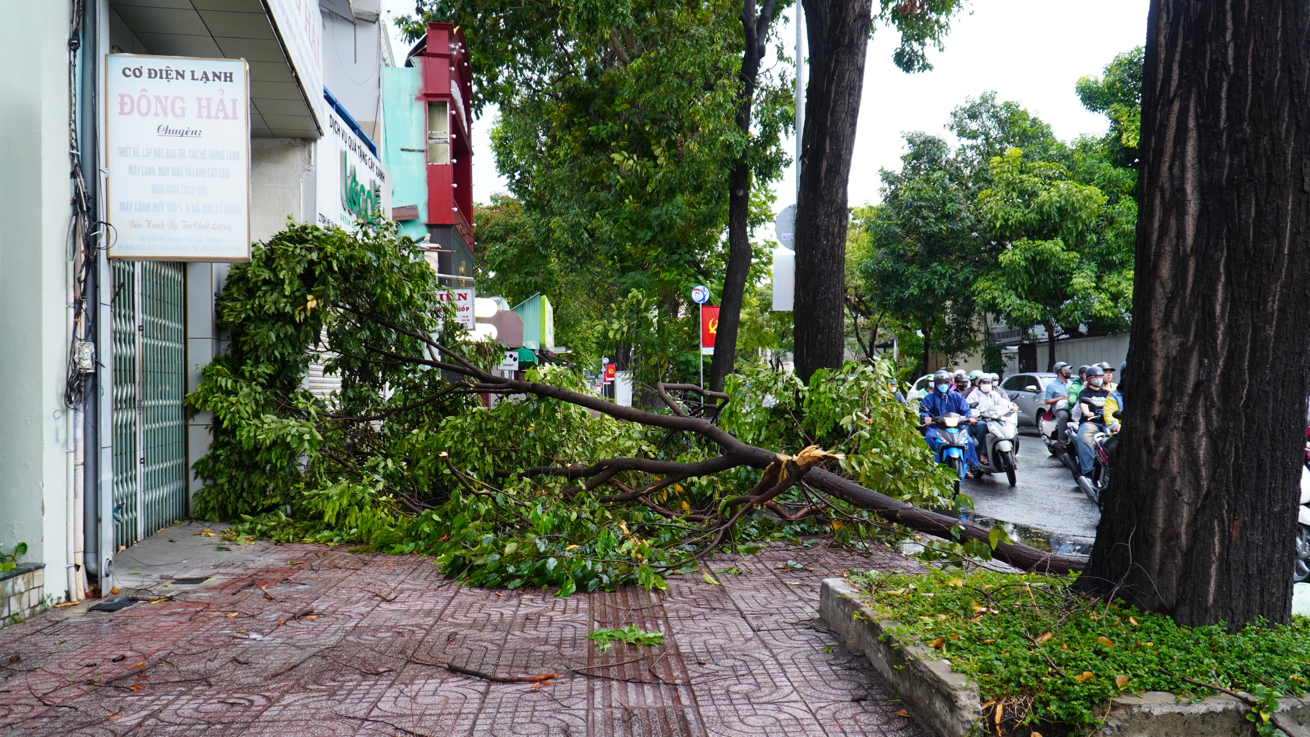 TP.HCM mưa lớn 2 ngày liên tiếp - Ảnh 1.