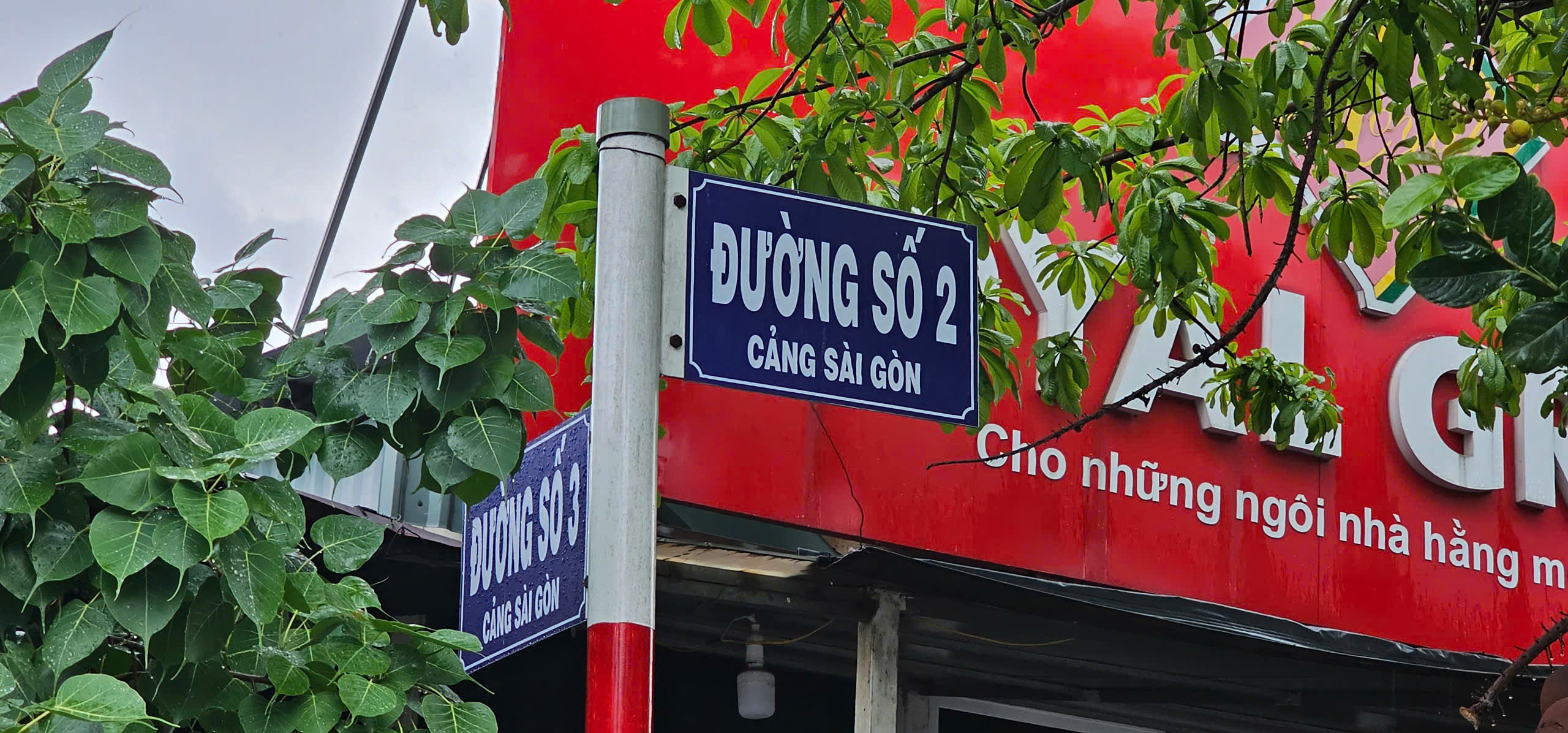 'Đi tìm nhà như chơi trốn tìm' - Ảnh 2.