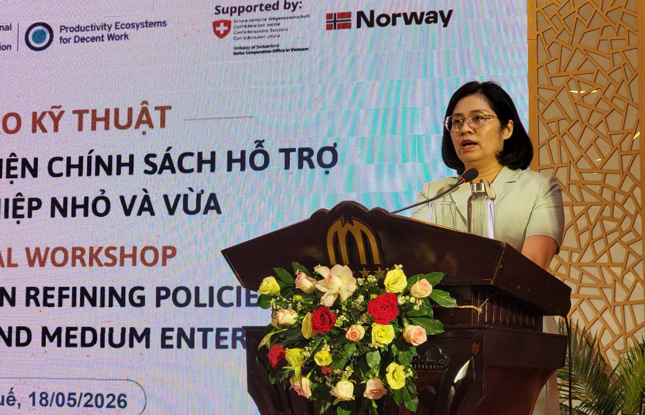 Góp ý cho dự thảo luật Hỗ trợ doanh nghiệp nhỏ và vừa- Ảnh 1.