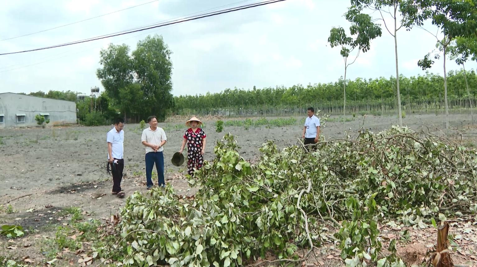 Đồng Nai: Người dân hiến đất trị giá khoảng 20 tỉ đồng để nhà nước làm đường - Ảnh 3.