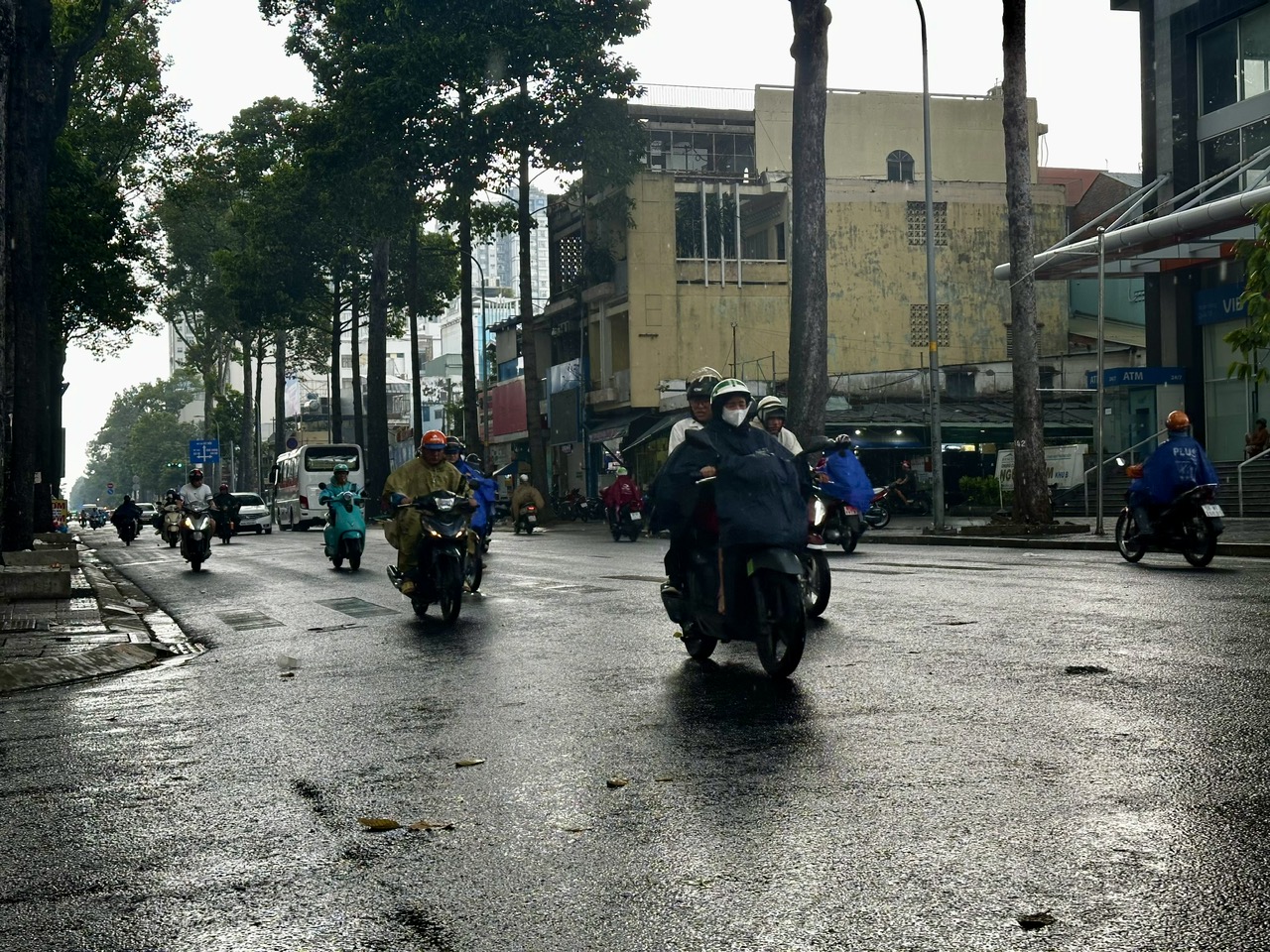'Mưa vàng' giải nhiệt cho TP.HCM và Nam bộ- Ảnh 4.