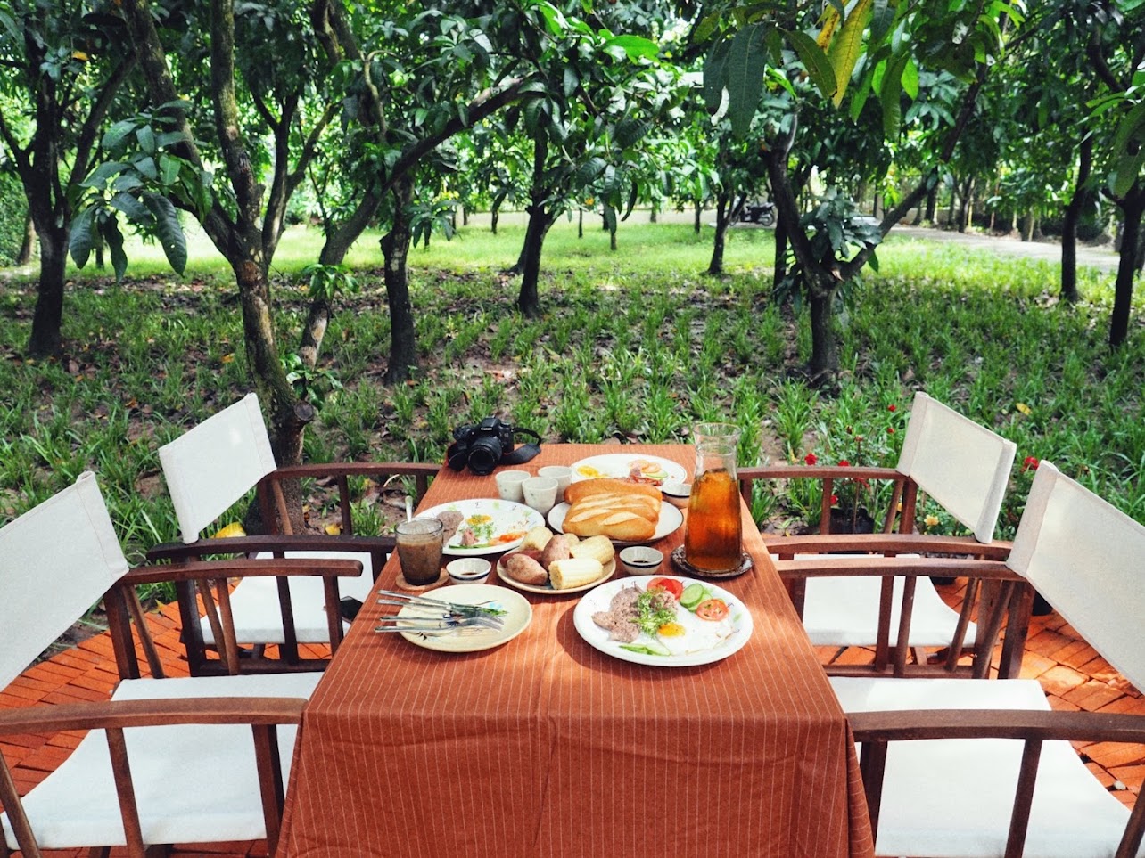 Farmstay giữa vườn xoài có gì đặc biệt mà thu hút du khách trong, ngoài nước? - Ảnh 3.