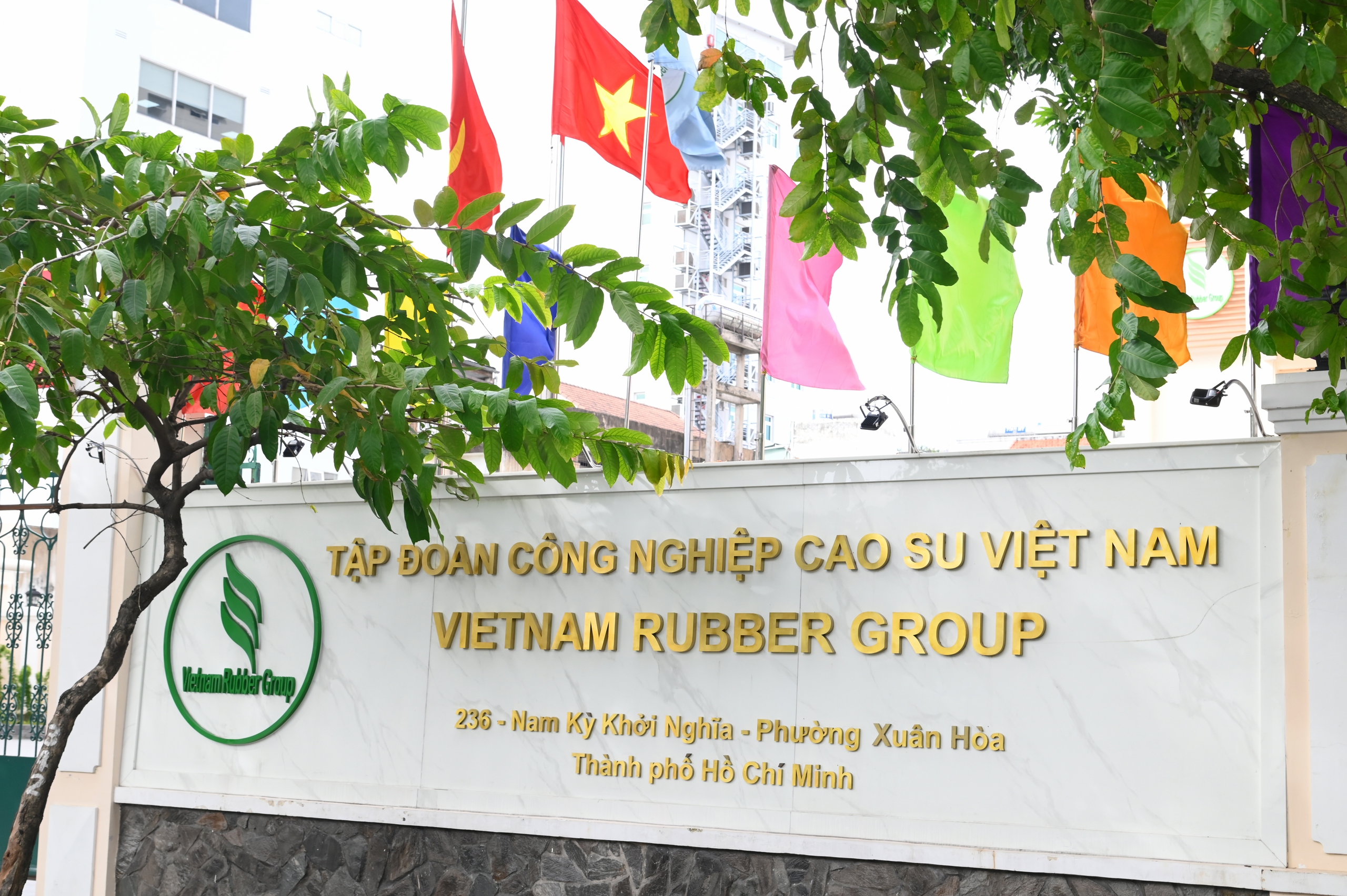 Tập đoàn Công nghiệp Cao su Việt Nam (VRG) tuyển dụng 2 chuyên viên - Ảnh 1.