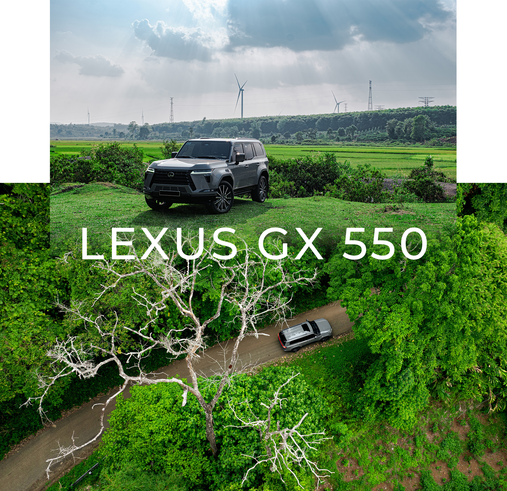 SENSE VIETNAM 2026 - Hành trình khám phá và nâng tầm ẩm thực Việt Nam cùng Lexus - Ảnh 18.