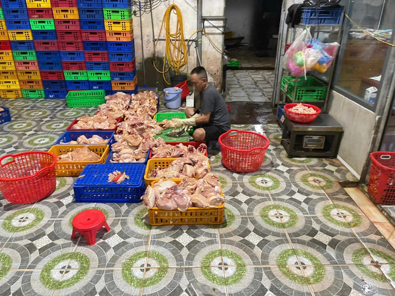 Bất ngờ bên trong cơ sở giết mổ gia cầm được đầu tư 'bài bản' ở TP.HCM - Ảnh 2.