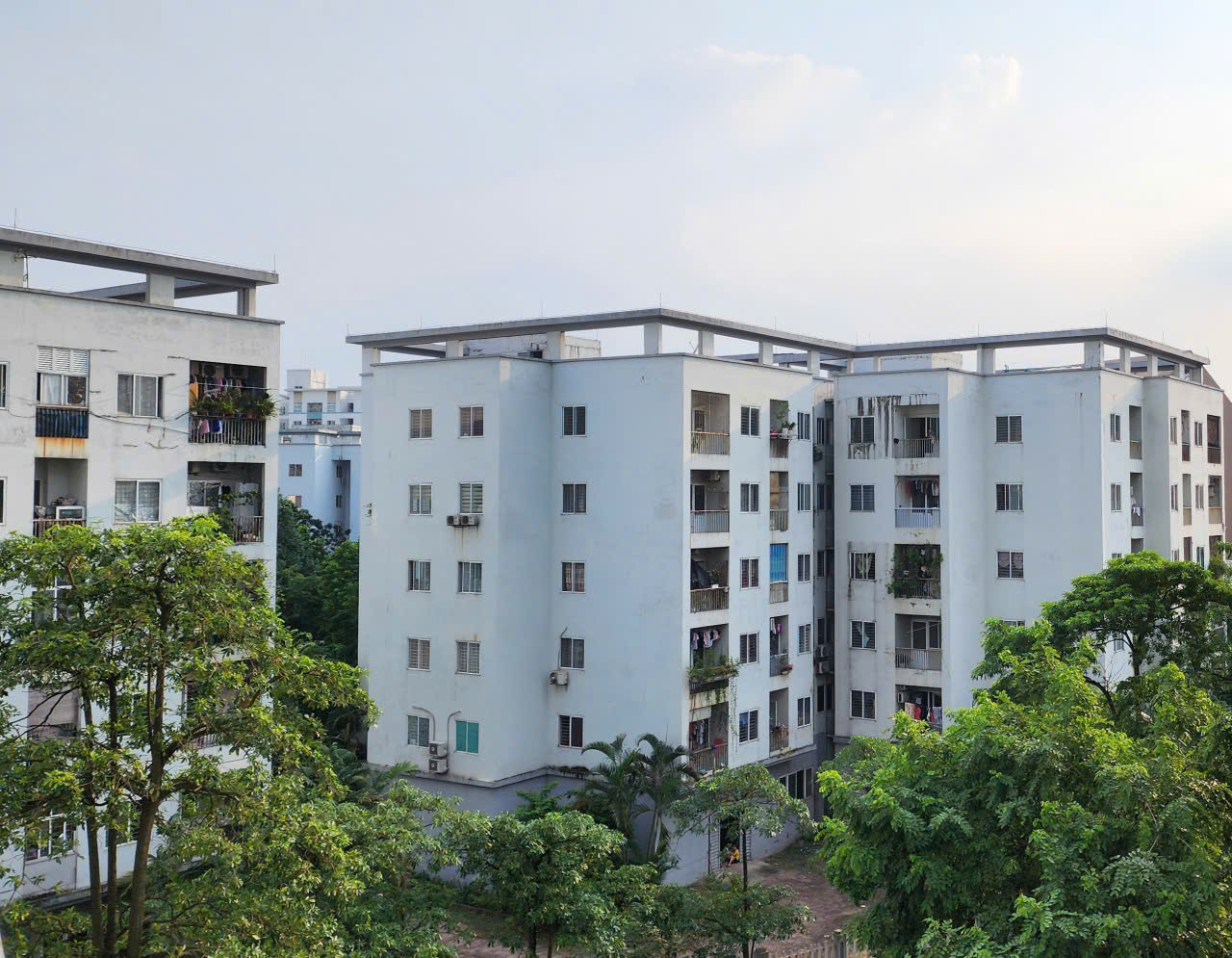 Vì sao doanh nghiệp 'ngại' làm nhà ở cho thuê? - Ảnh 1.