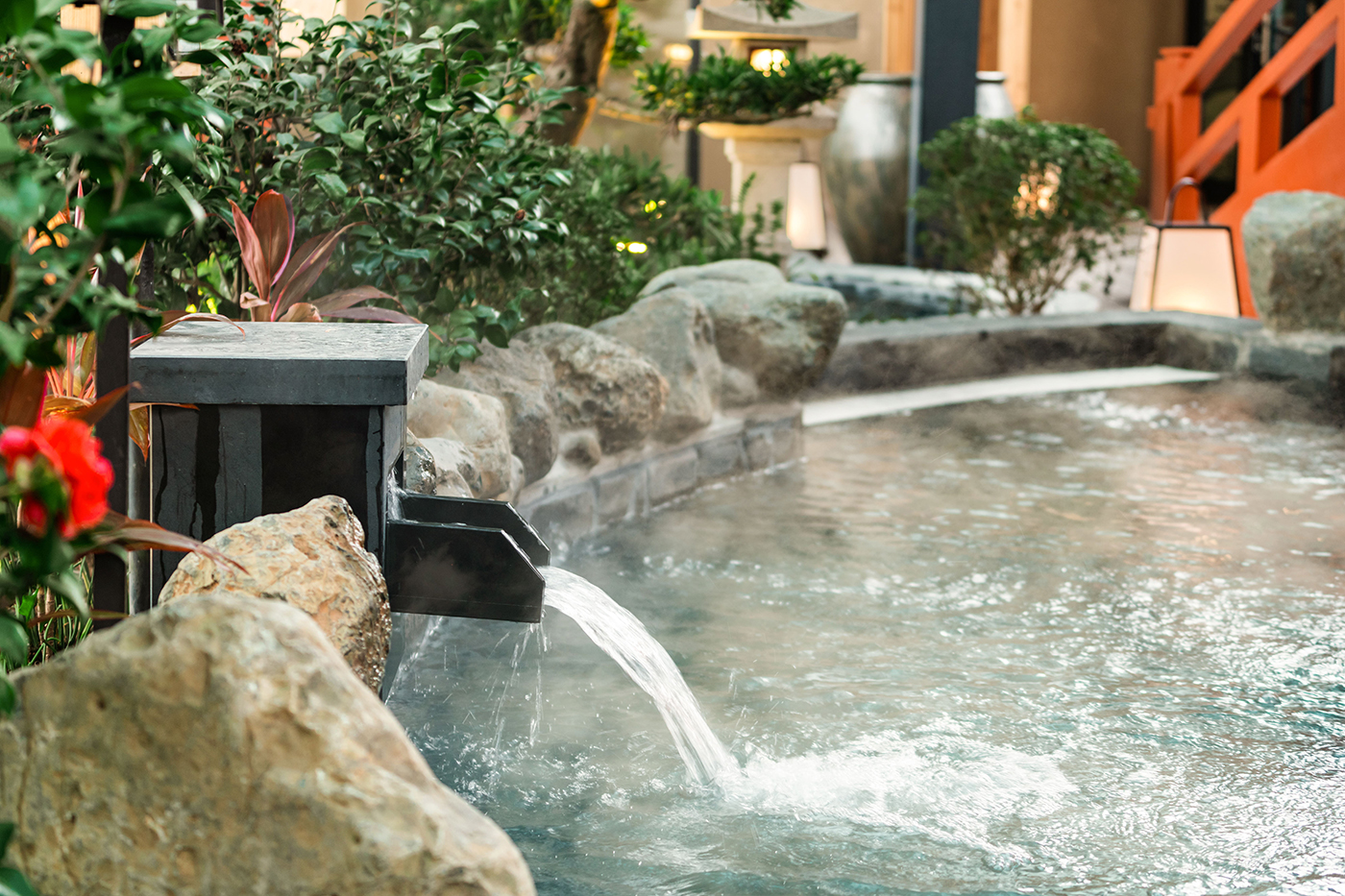 Forest Onsen: Món quà sức khỏe dành cho cha mẹ - Ảnh 3.