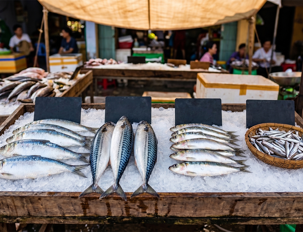 Bác sĩ gợi ý những loại cá giàu omega-3 cho người lớn tuổi - Ảnh 2.